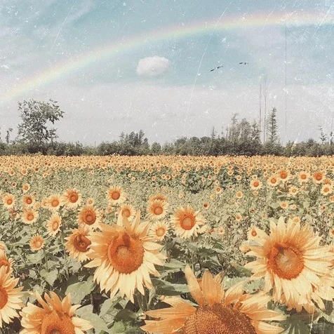 Spring Playlist - Pretty