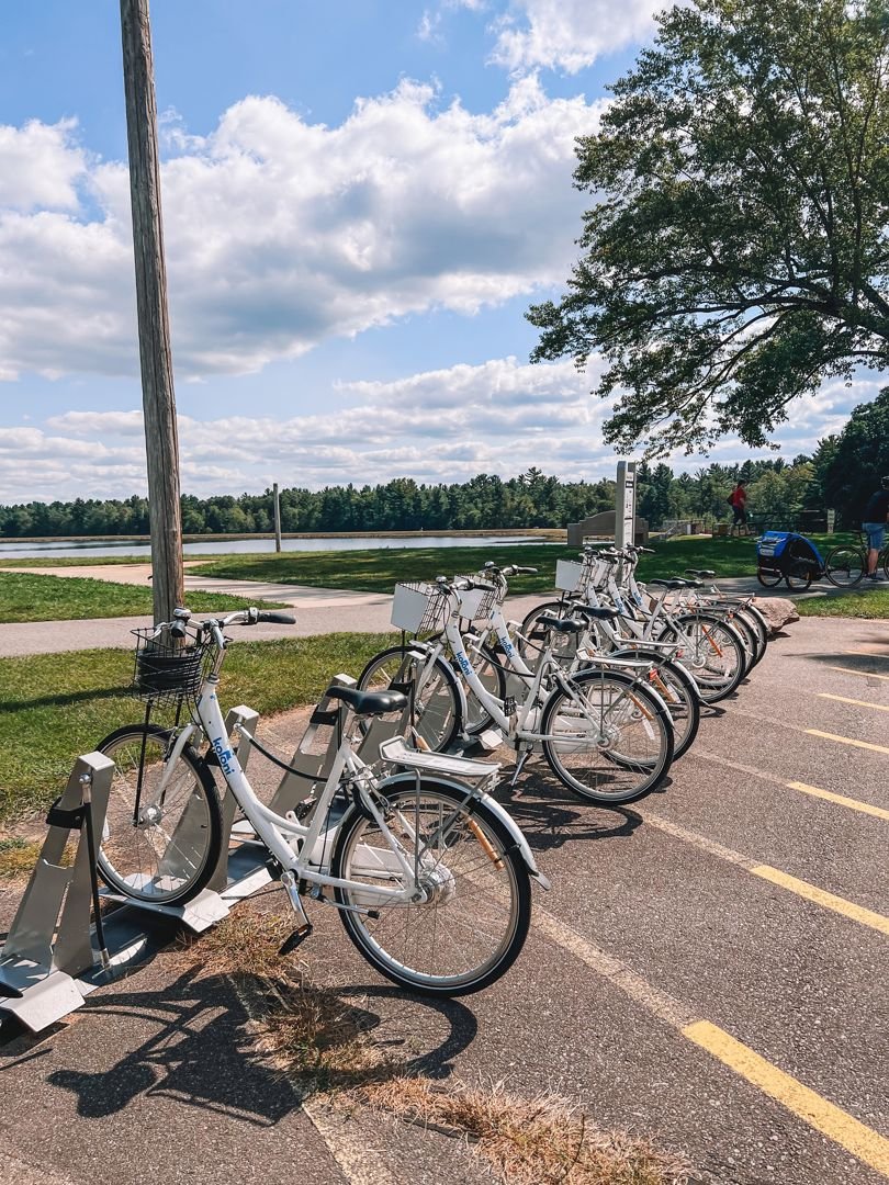 Bikes Near the Lake Wazeecha - @thekuzickiadventures.jpg