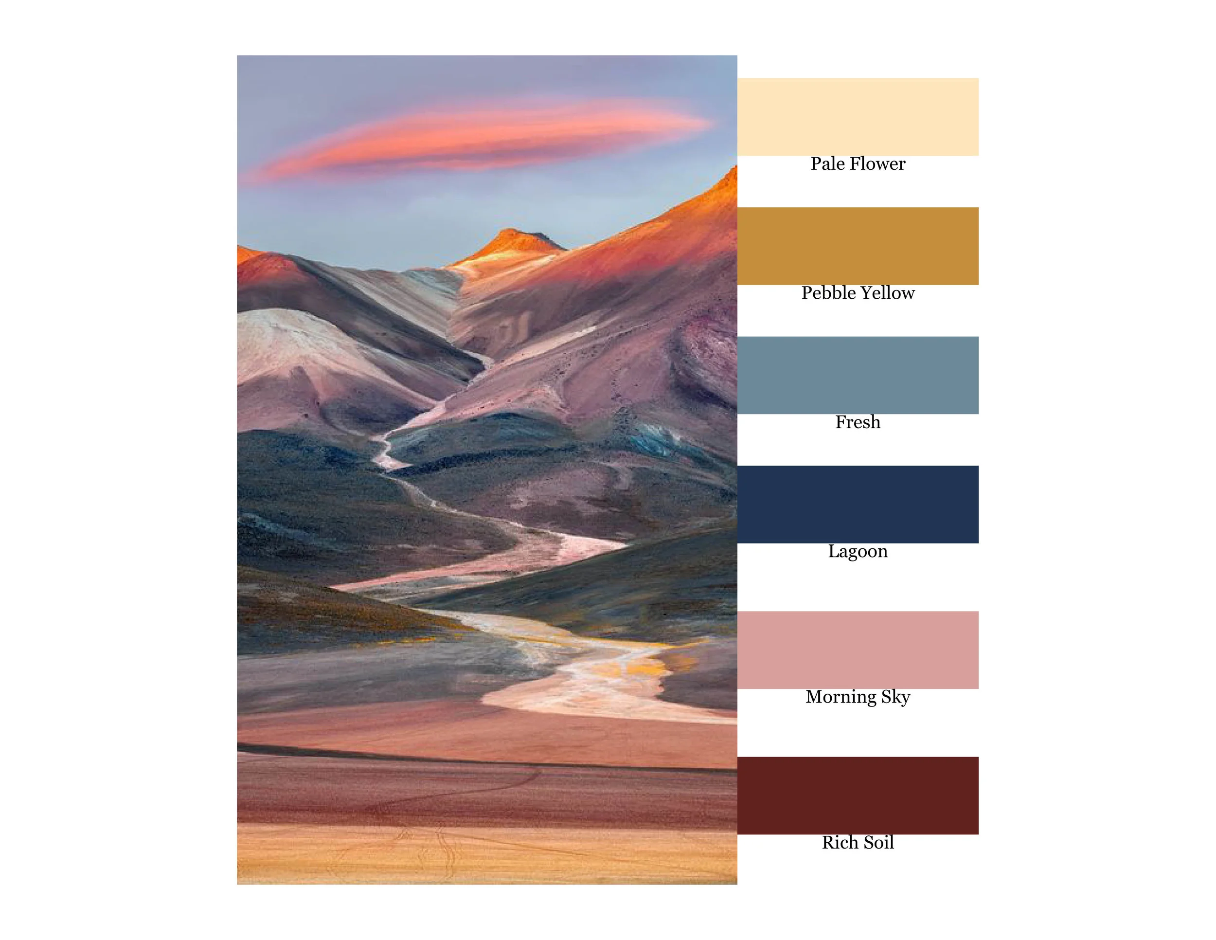 Athleta Color Story.jpg