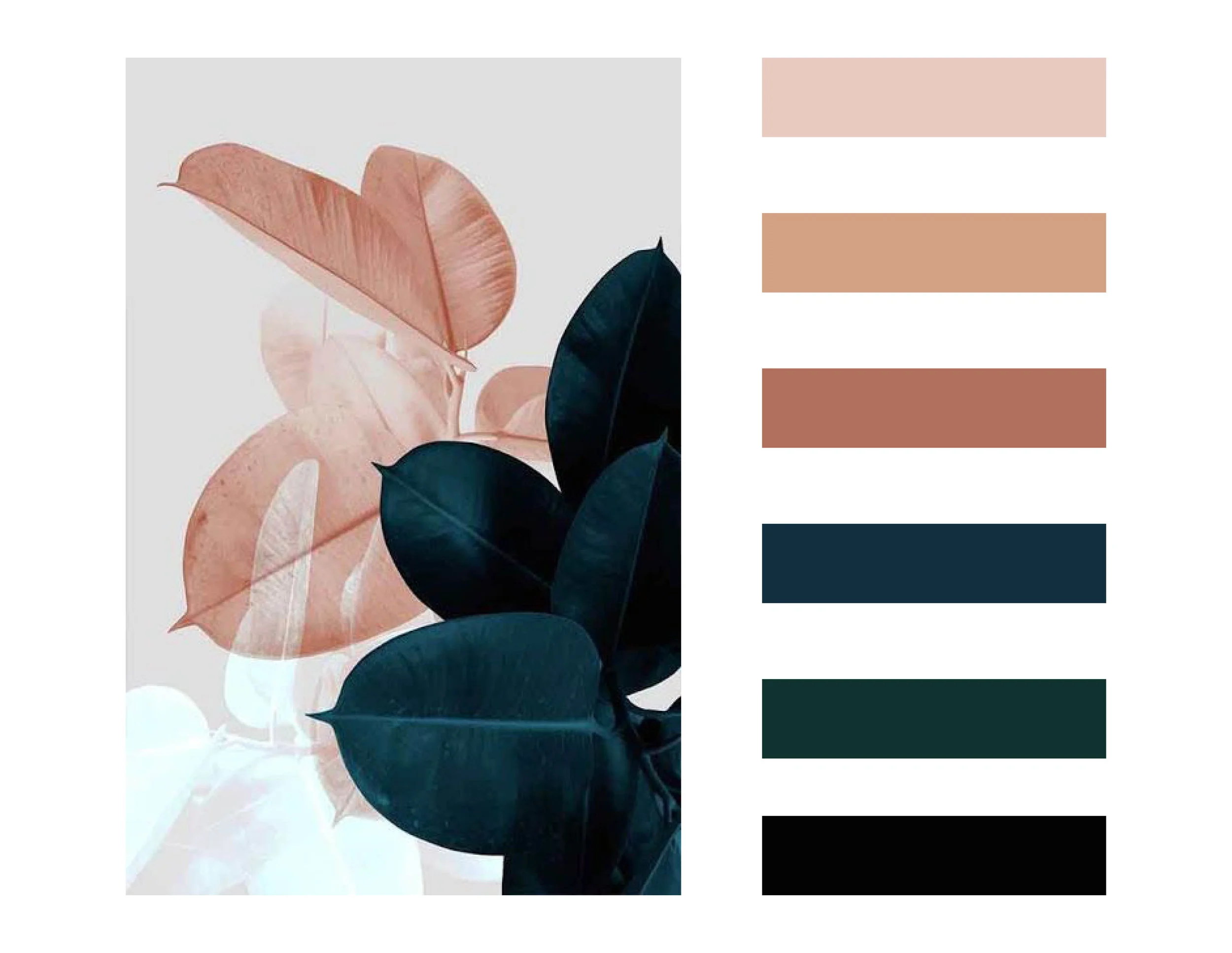 Lingerie Color Story.jpg