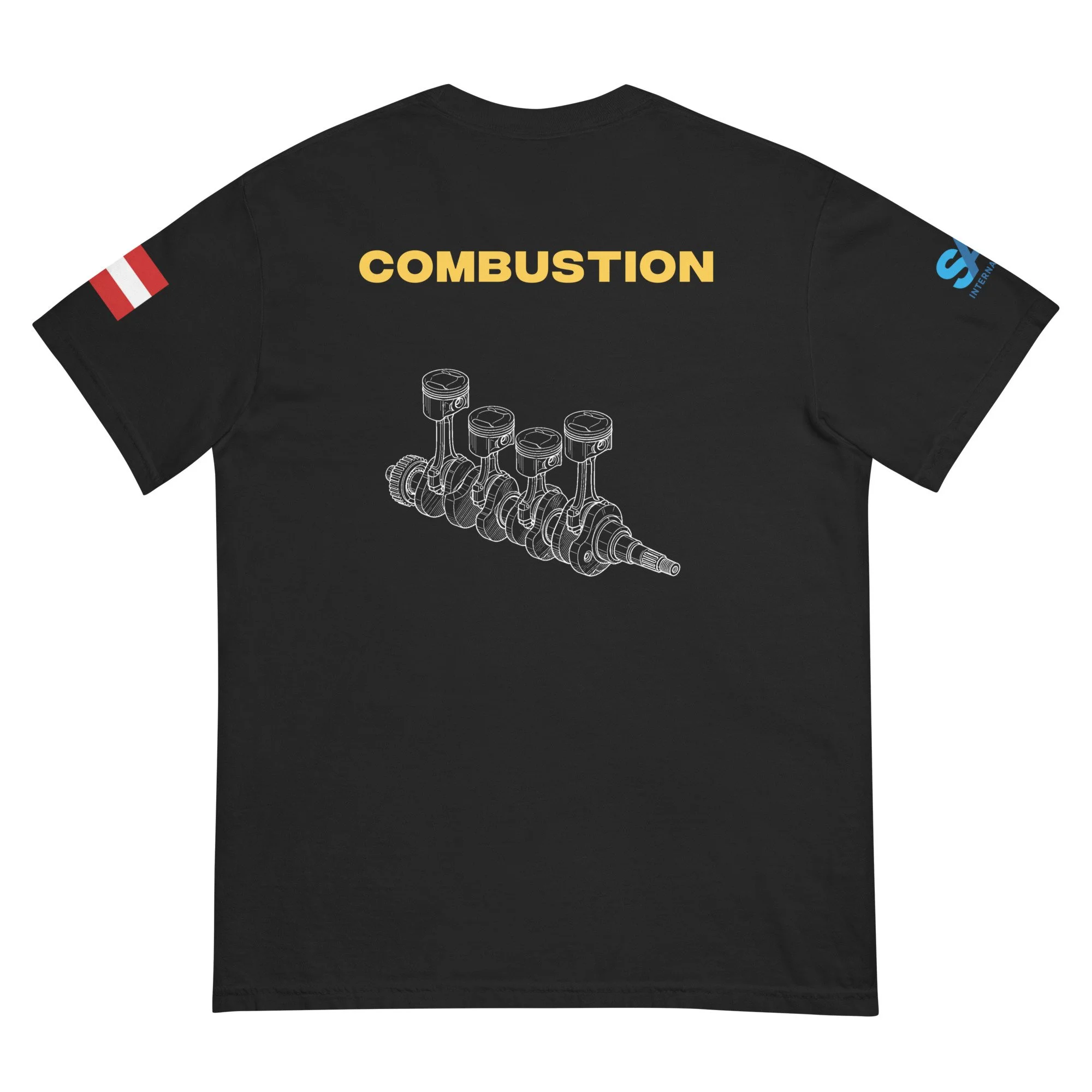 unisex-garment-dyed-heavyweight-t-shirt-black-back-69dee8ff13fa8.jpg