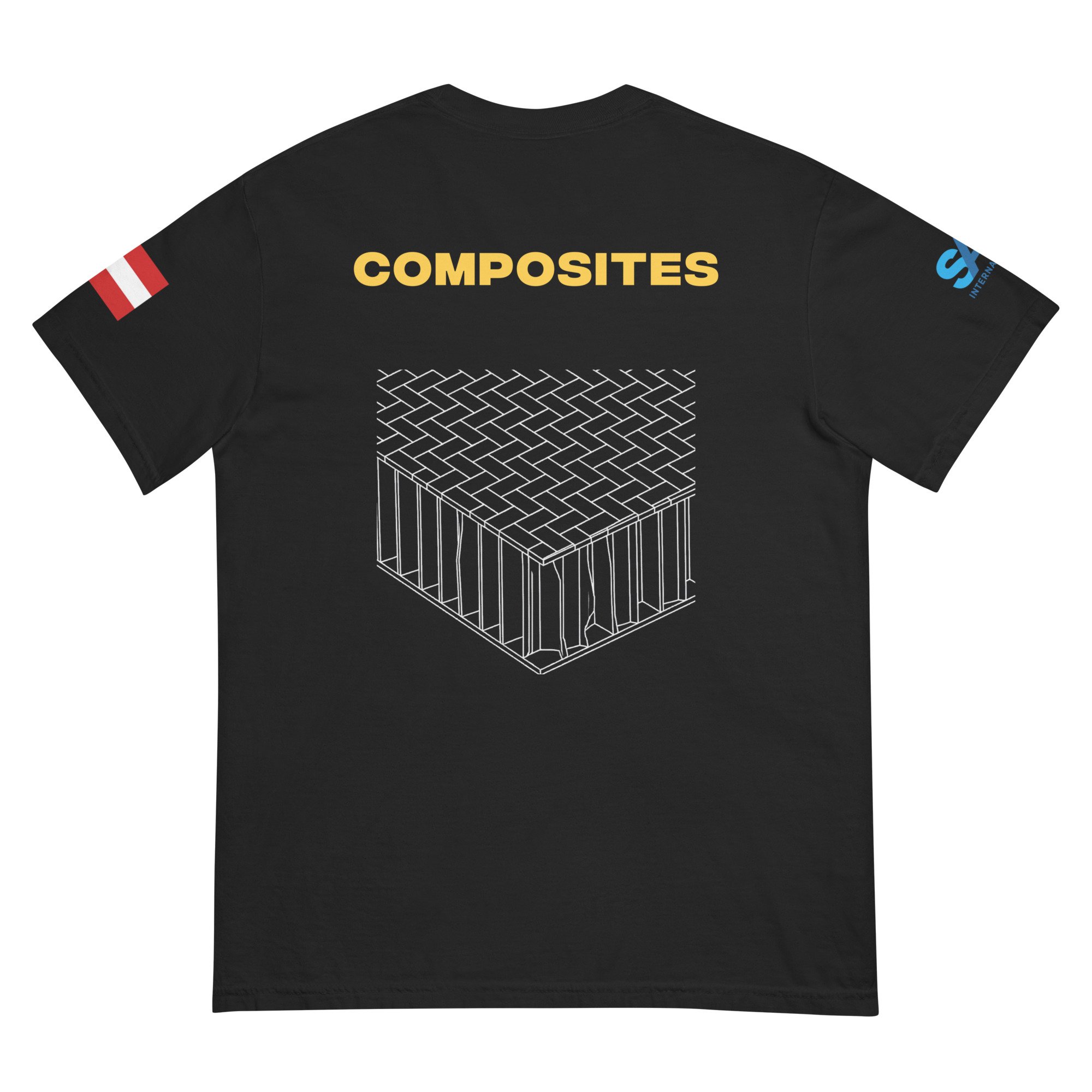 unisex-garment-dyed-heavyweight-t-shirt-black-back-69deea0f7f2a7.jpg
