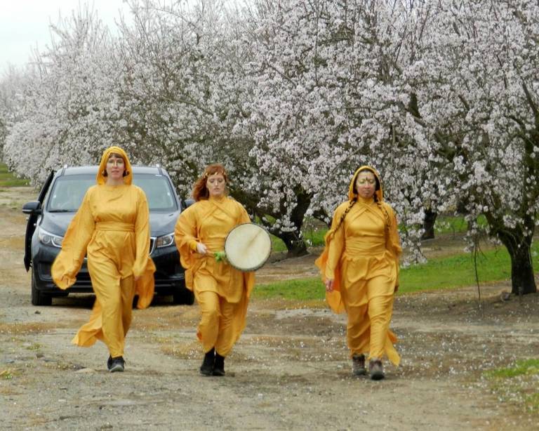 Artists walk for bees in almond orchards in Stanislaus, elsewhere