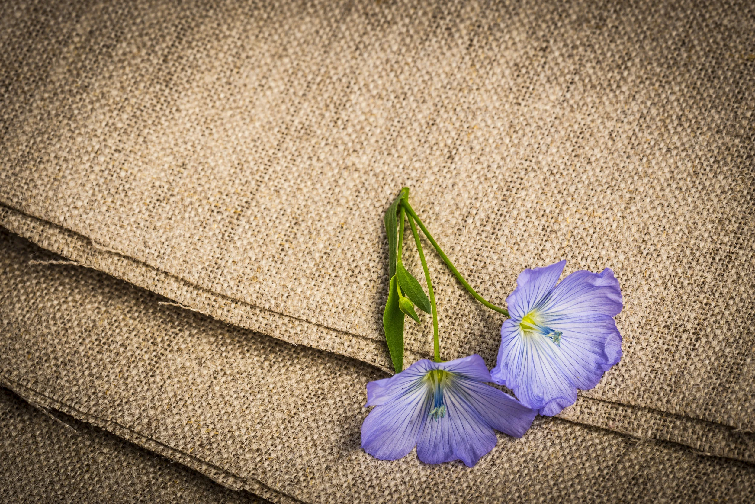 Flax Linen