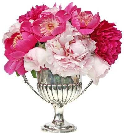 Gorgeous peone floral arrangment Holly designed. The flowers are from the gardens of Fox Hall and the vase is a loving cup handed down from Holly’s parents.