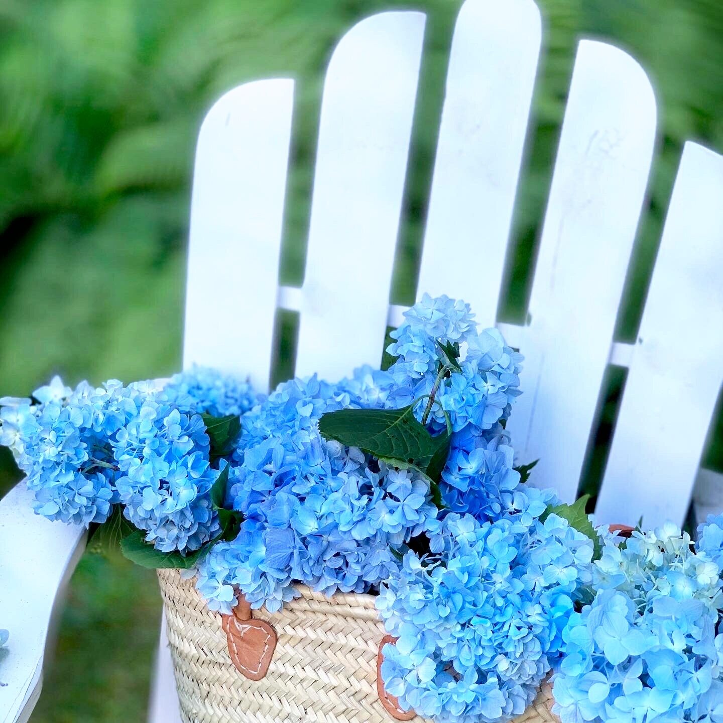 Hydrangeas and Edible Flowers A Match Made In Heaven