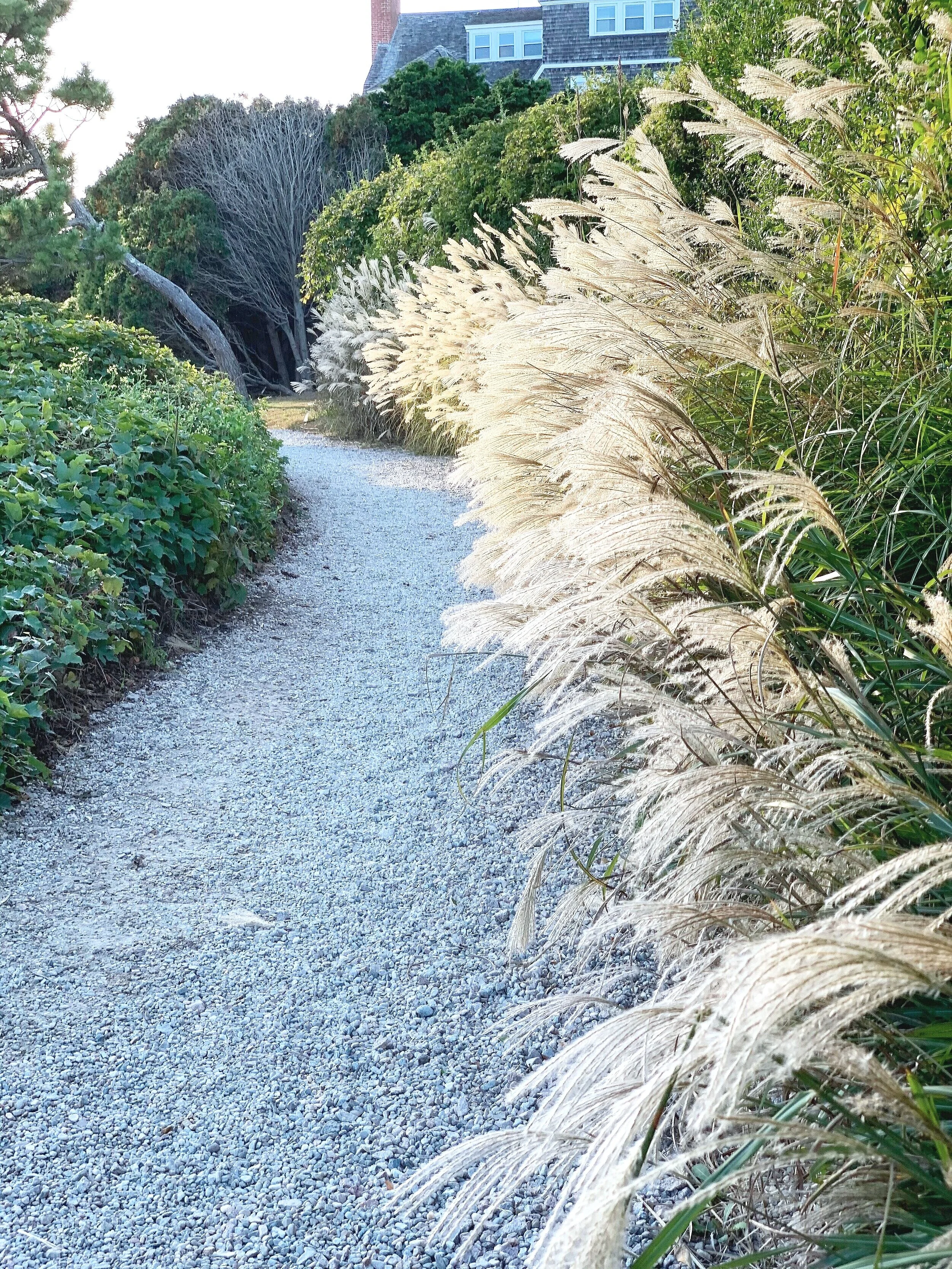 The pathway heading toward East Beach.