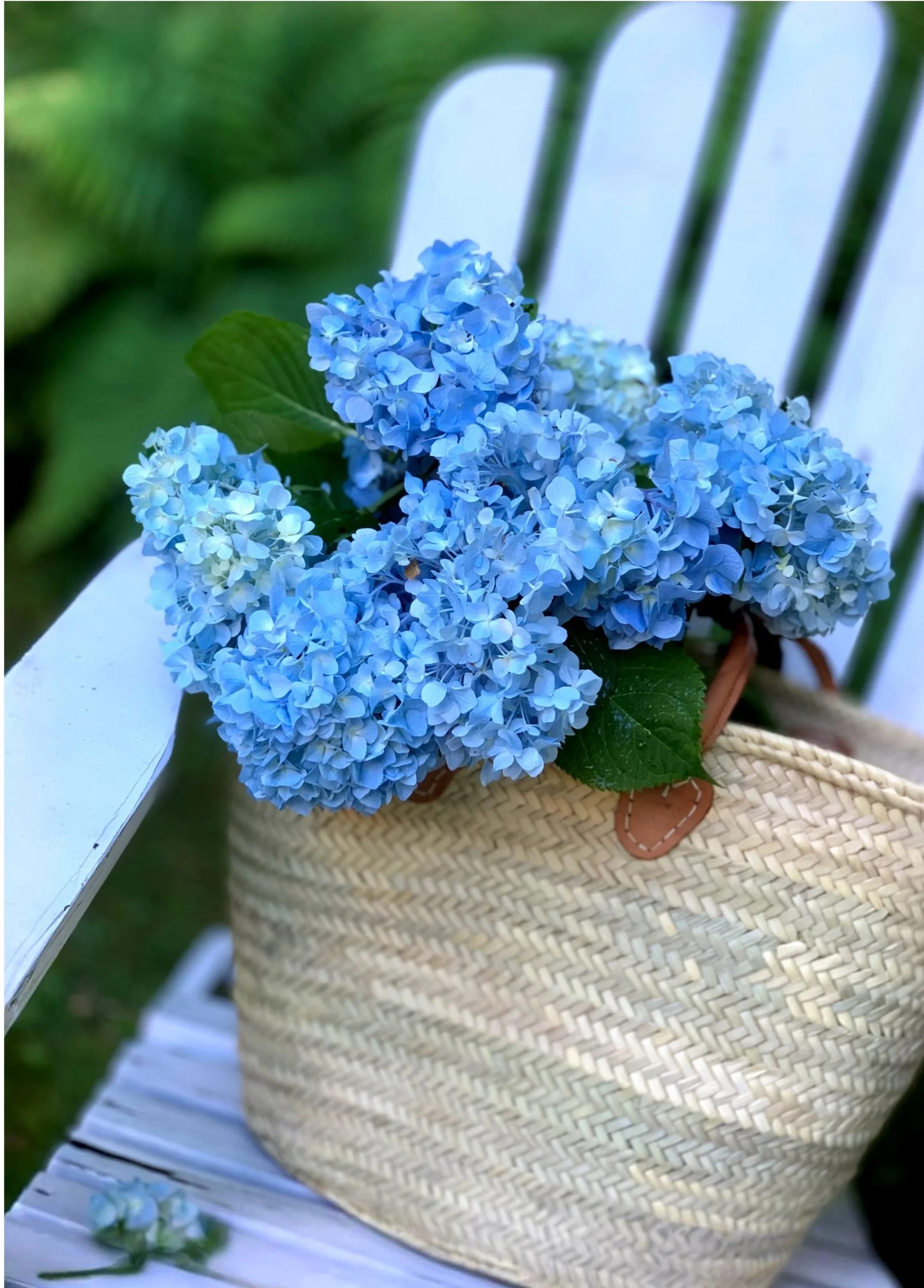 The Design Eye | Spring 2026 — Gathered from the Garden
