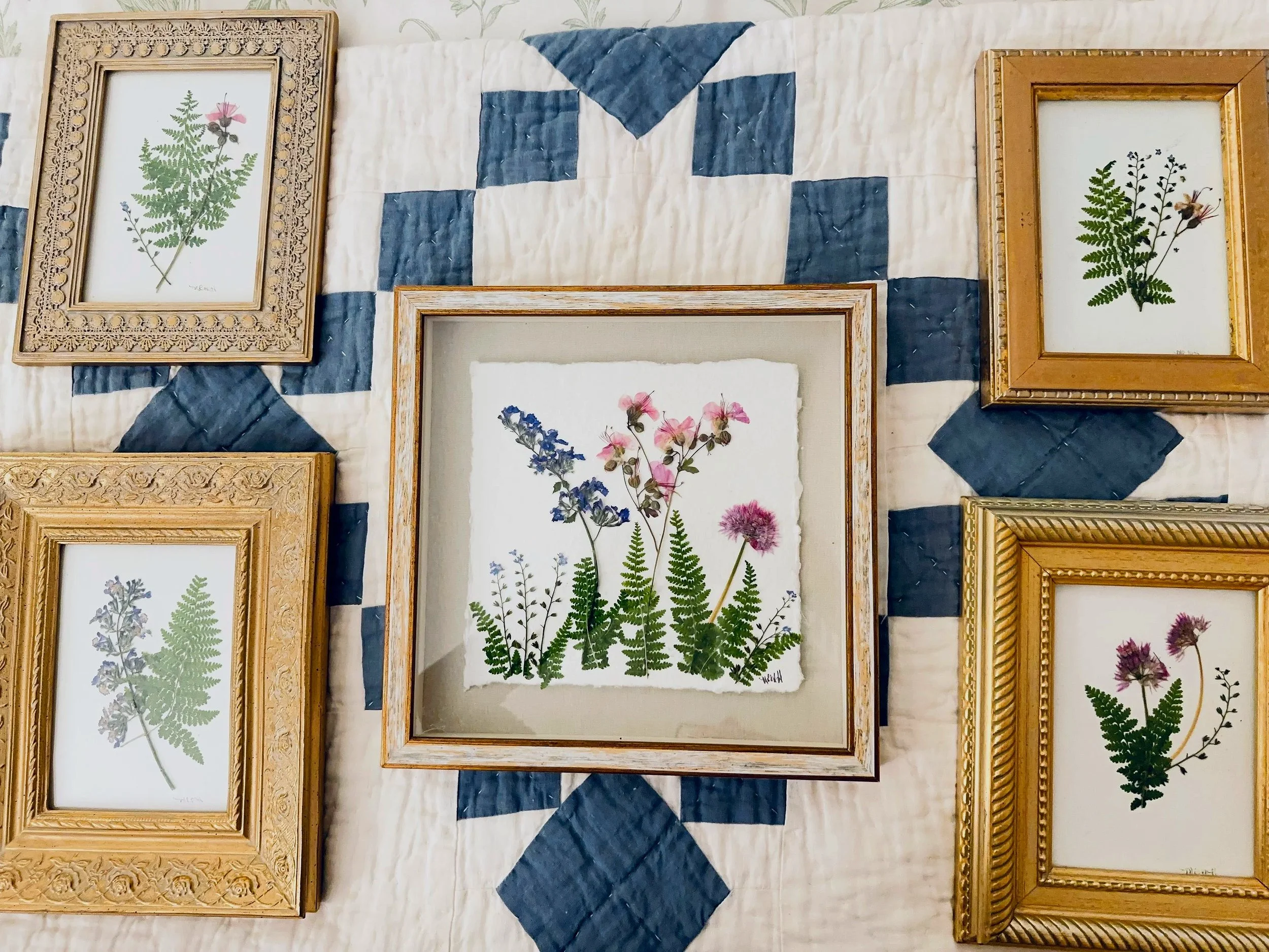 set of pressed flowers for a daughters room using her childhood flowers as a momentous.