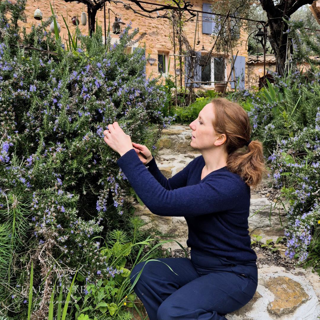 Founder inspecting lavender in Provence highlighting in-house craftsmanship and botanical sourcing