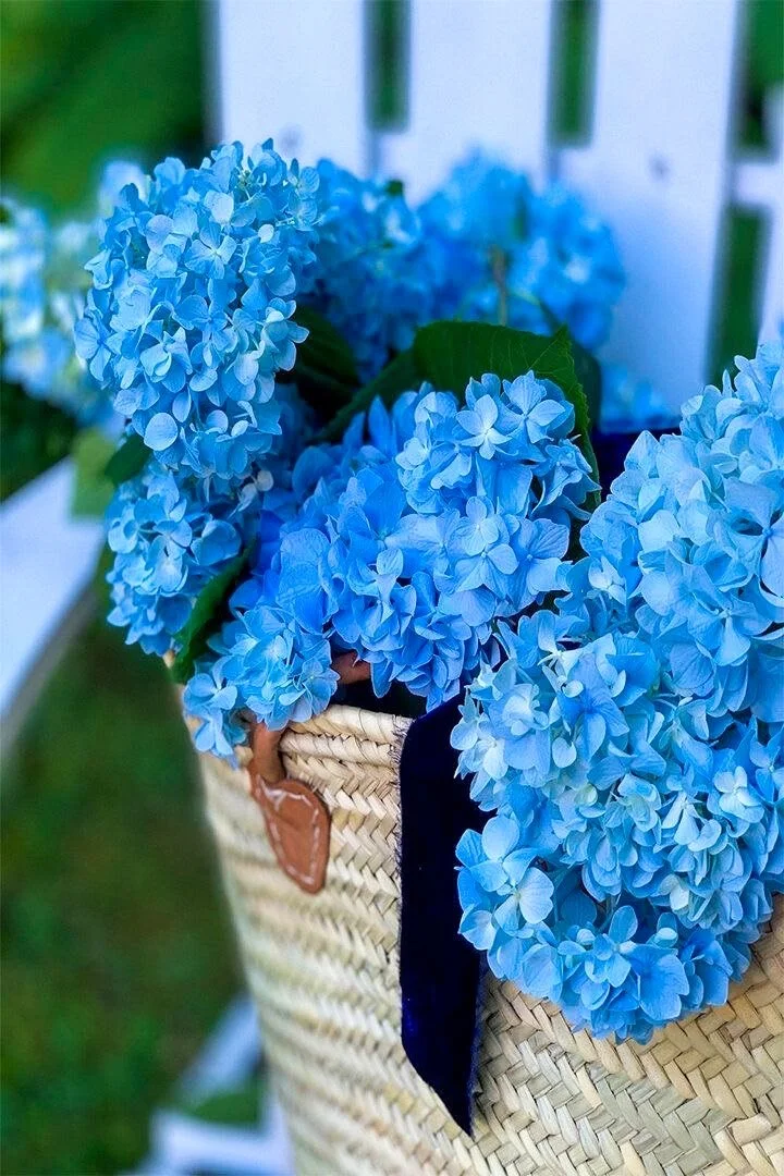 Deep blue hydrangeas in a hand woven French market basket with velvet ribbon detail — intentional garden gathering from Merze Design Eye Spring 2026