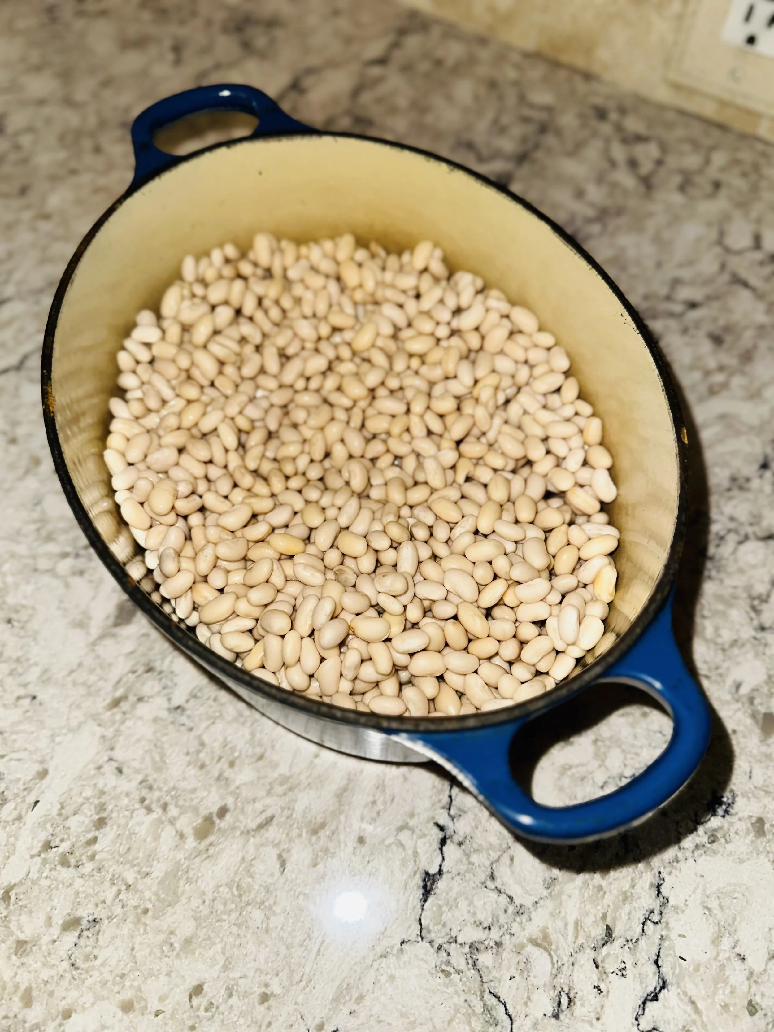 Soaked navy beans in a blue Le Creuset oval Dutch oven, ready for old-fashioned New England baked beans