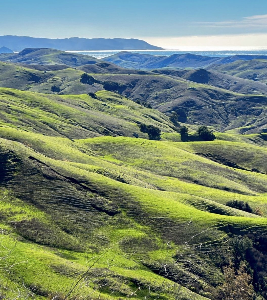 Pacific coastline with layered blue water and emerald winter mountains.