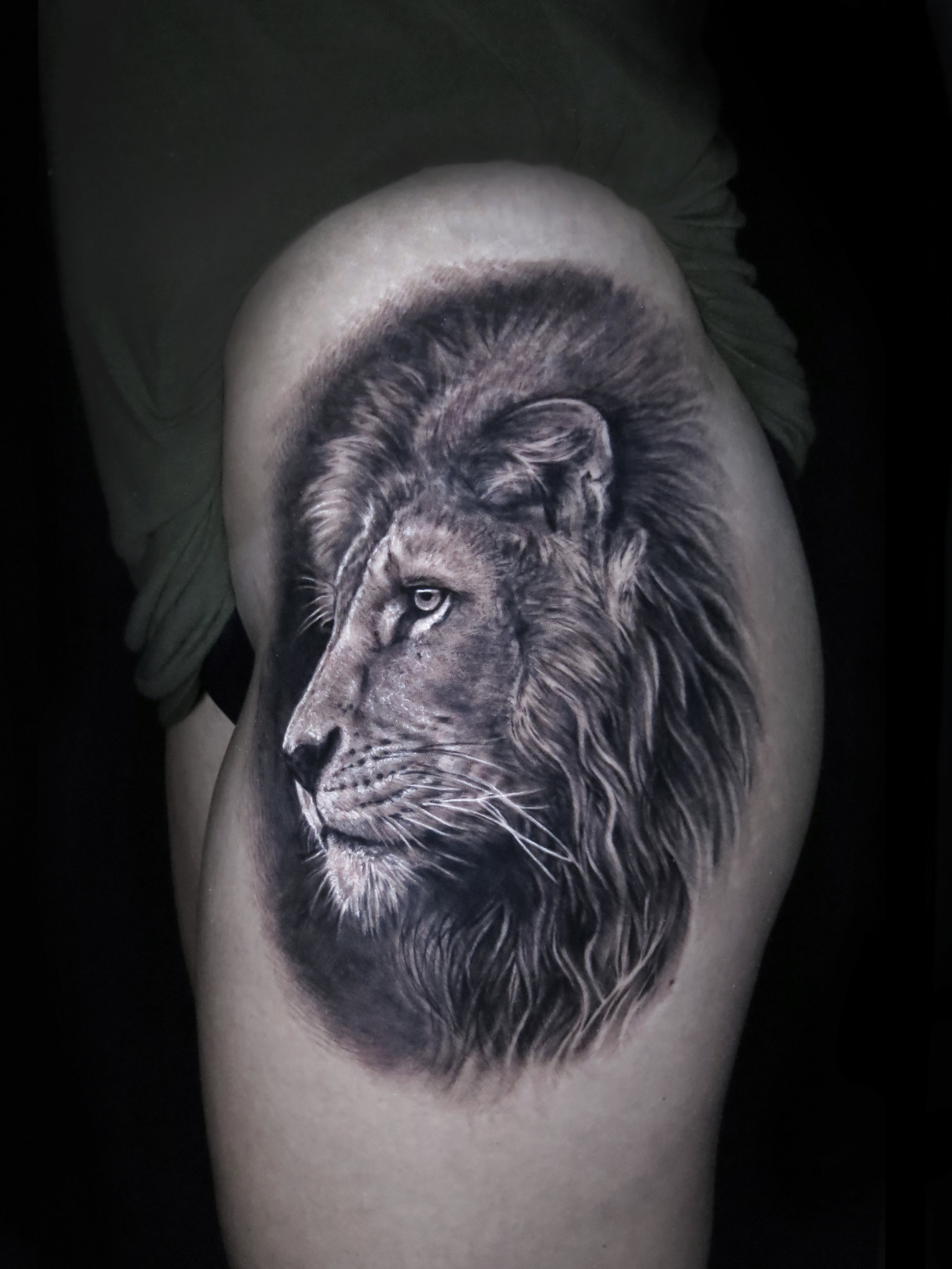 lion profile black and grey.jpg
