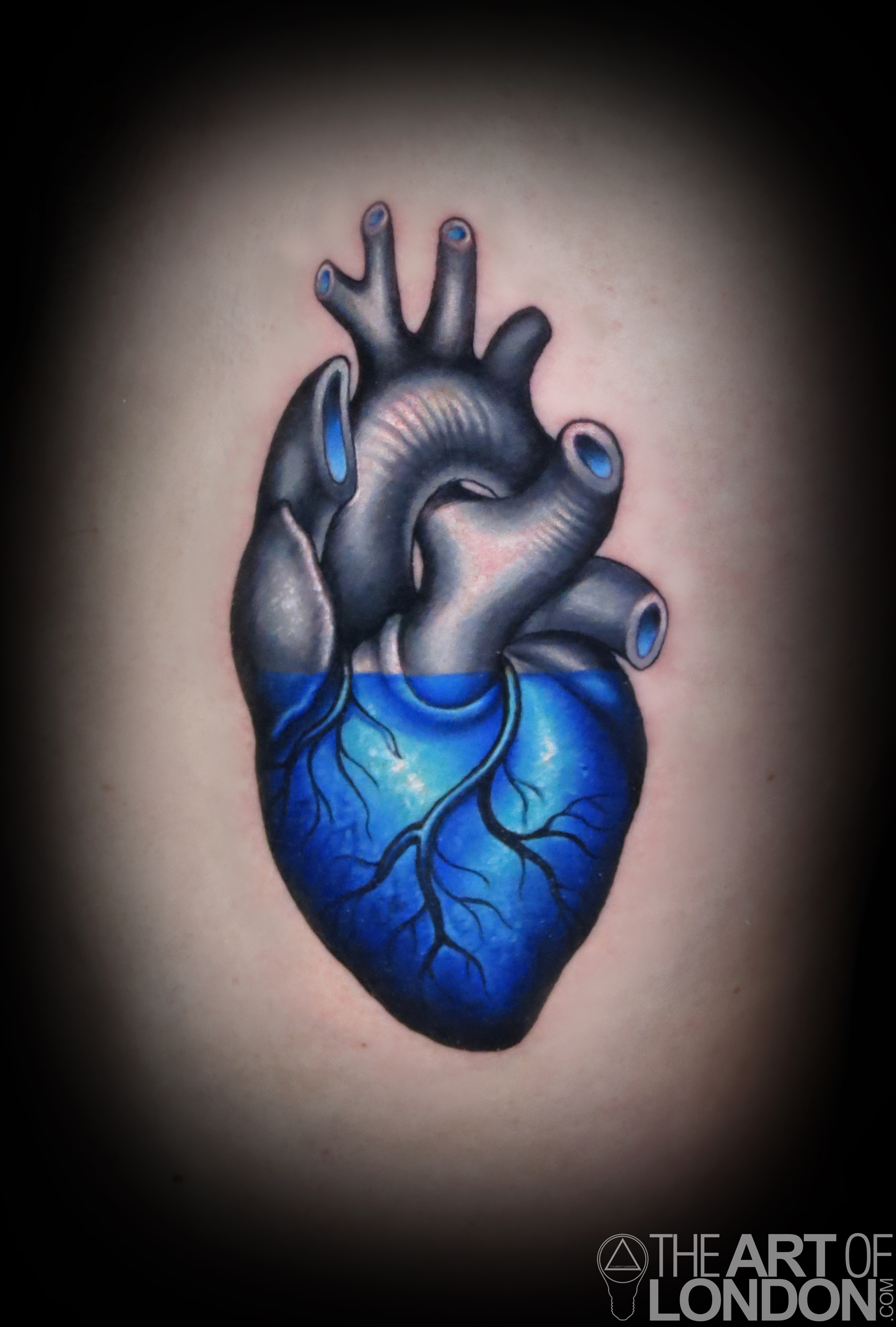 half blue anatomical heart.jpg