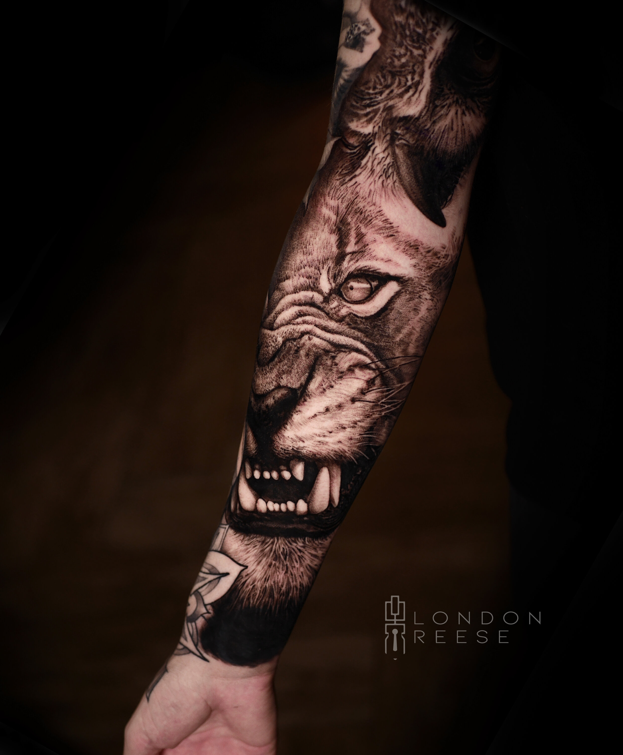 giant lion close up black and grey tattoo.jpg
