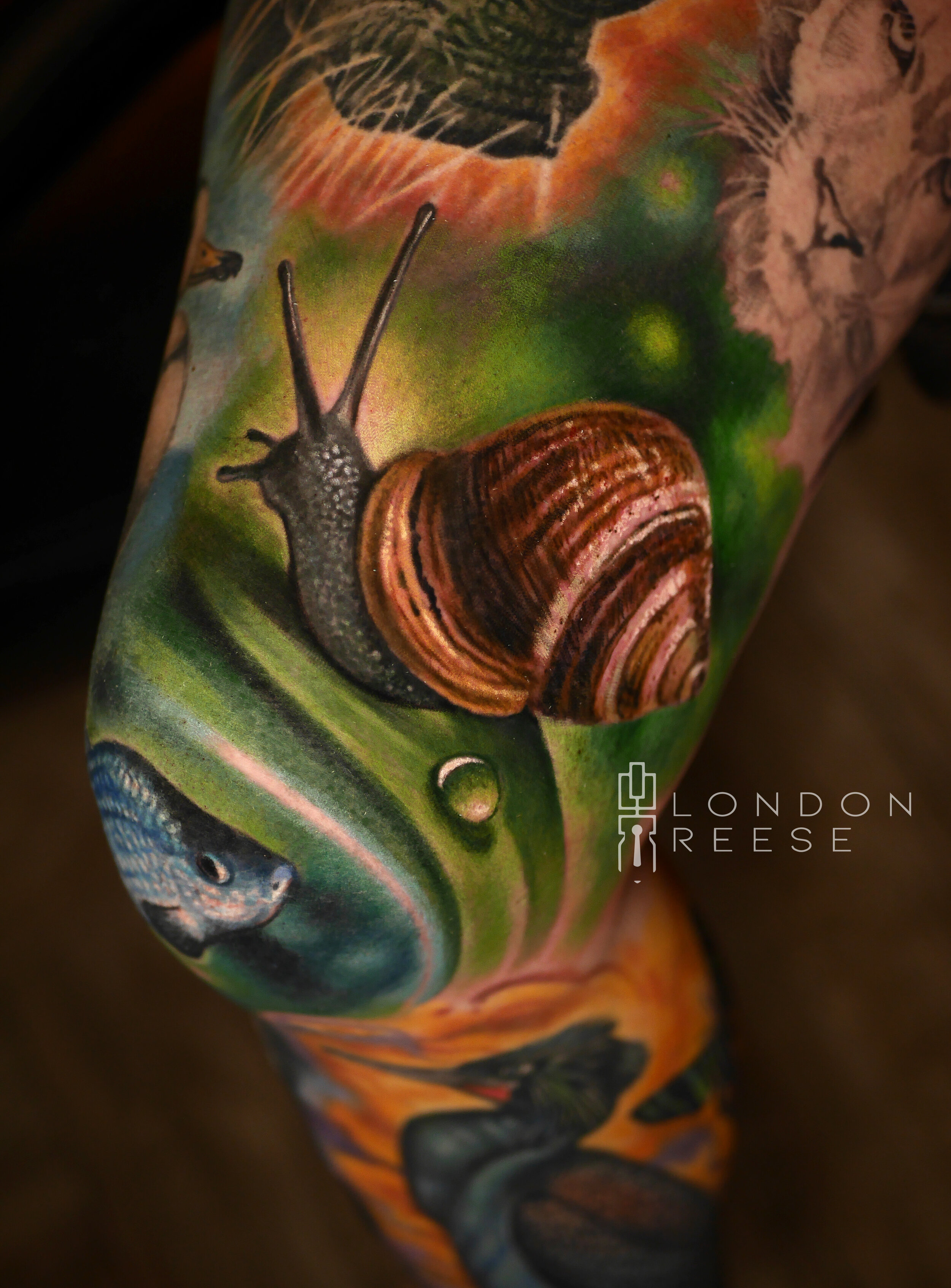 george the tree snail tattoo.jpg