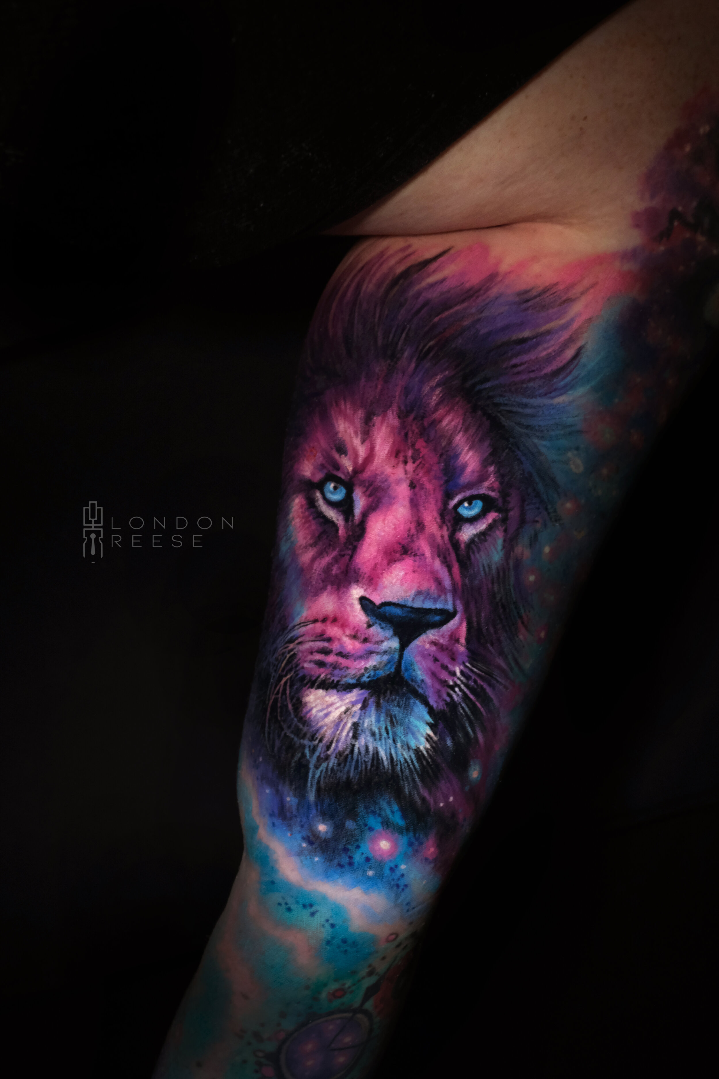 pink and blue galaxy lion.jpg