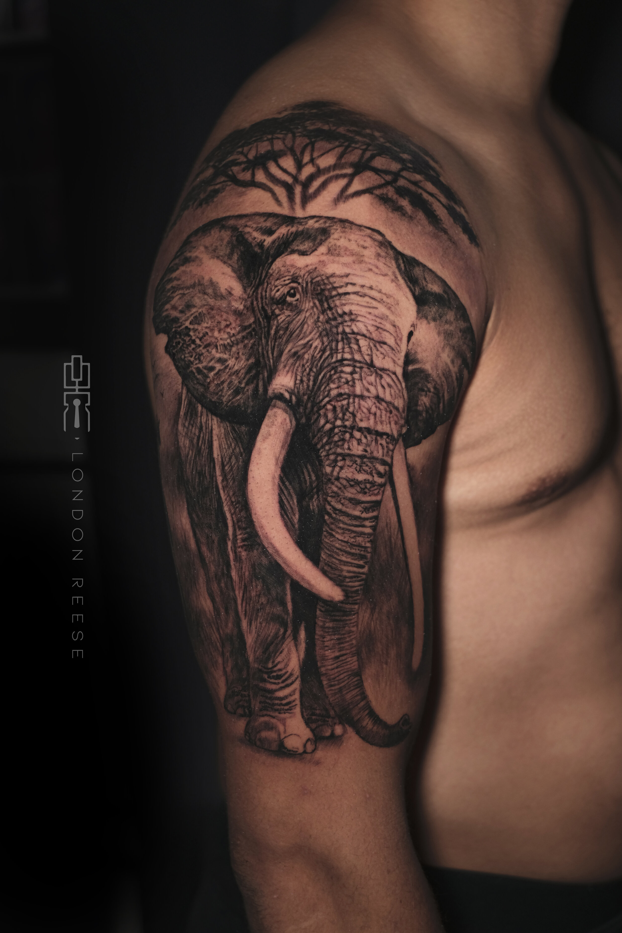 african elephant black and grey tattoo.jpg