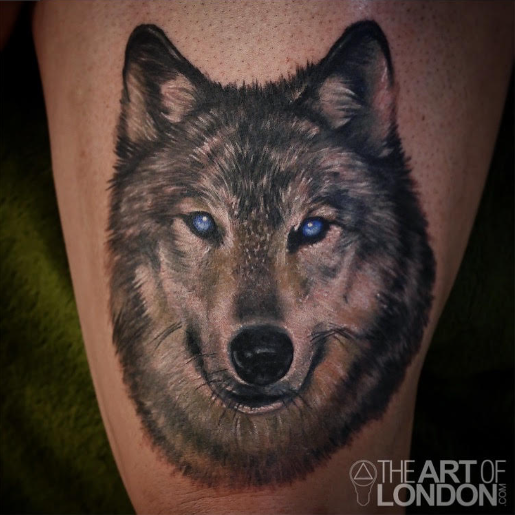 wolf portrait color.png