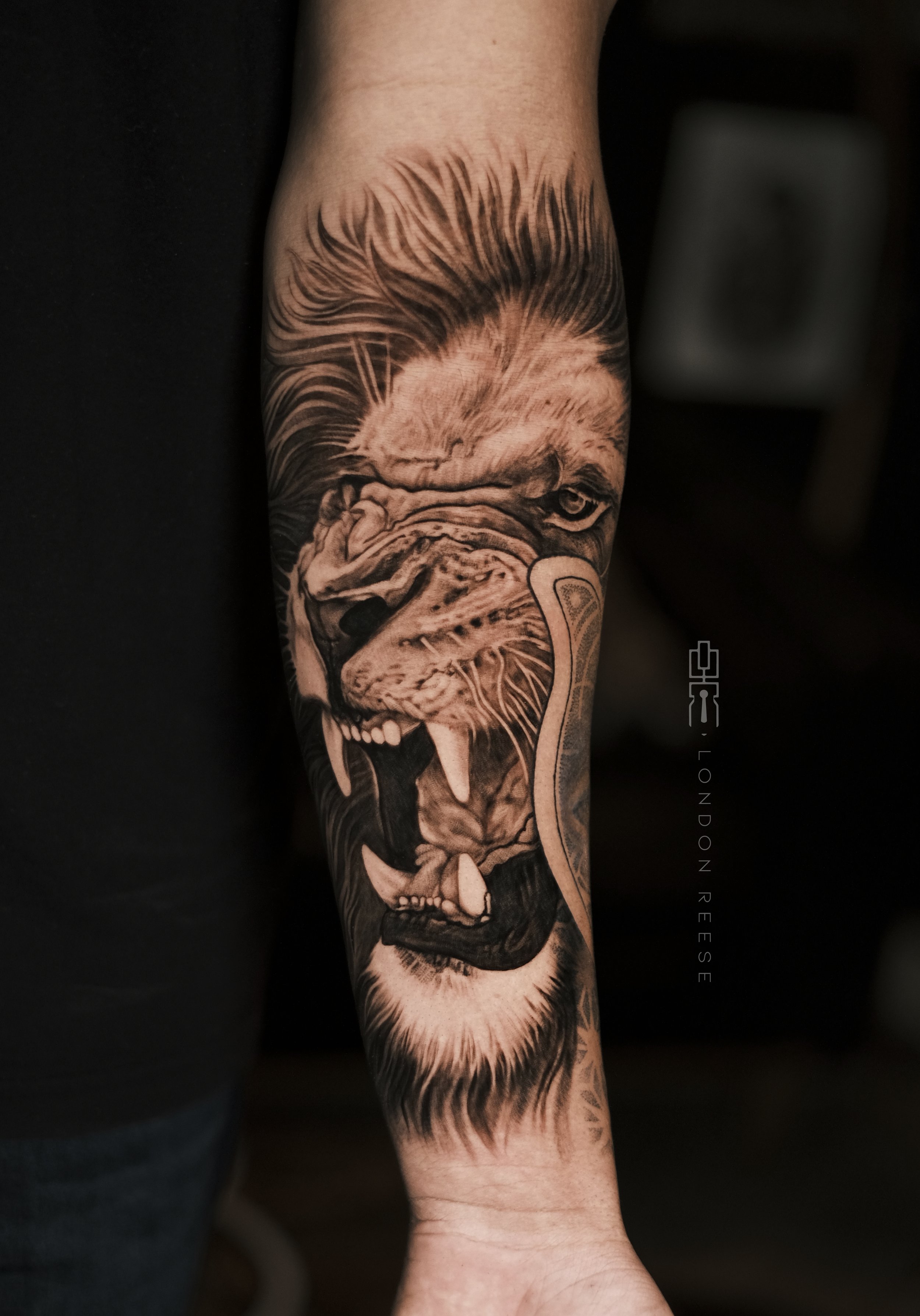 fierce lion tattoo.jpg