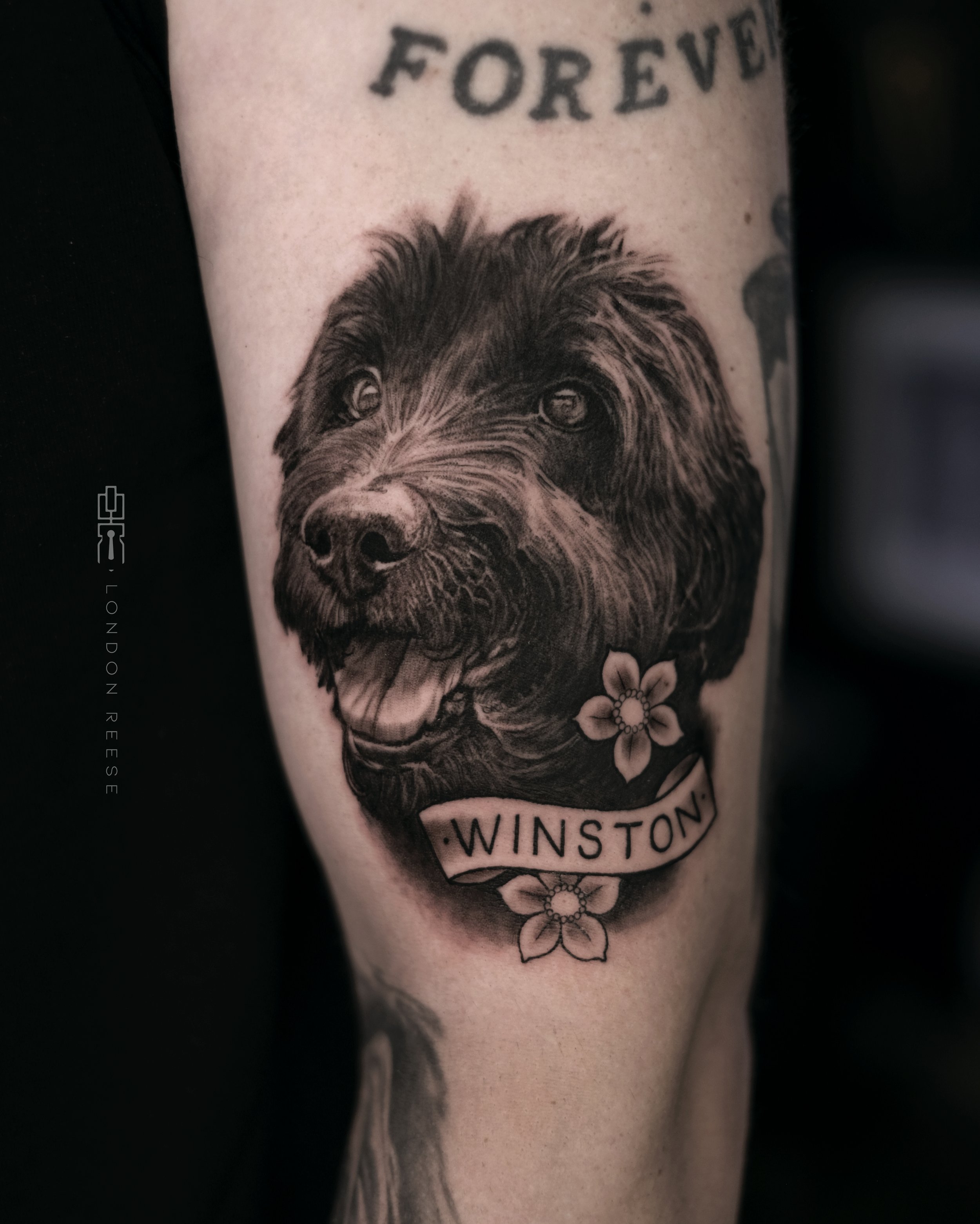 winston dog portrait.jpg