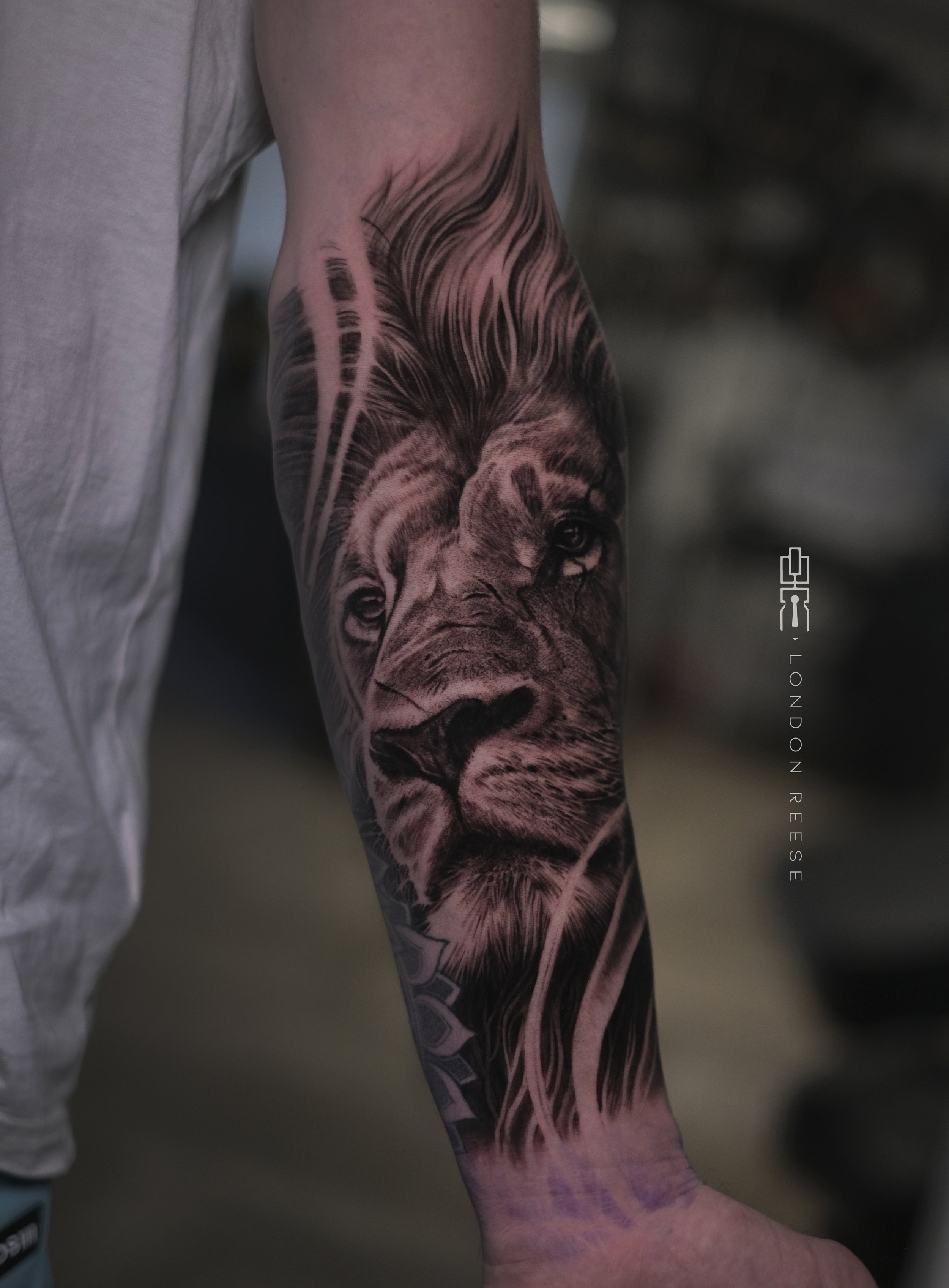 stoic lion black and grey tattoo.jpg