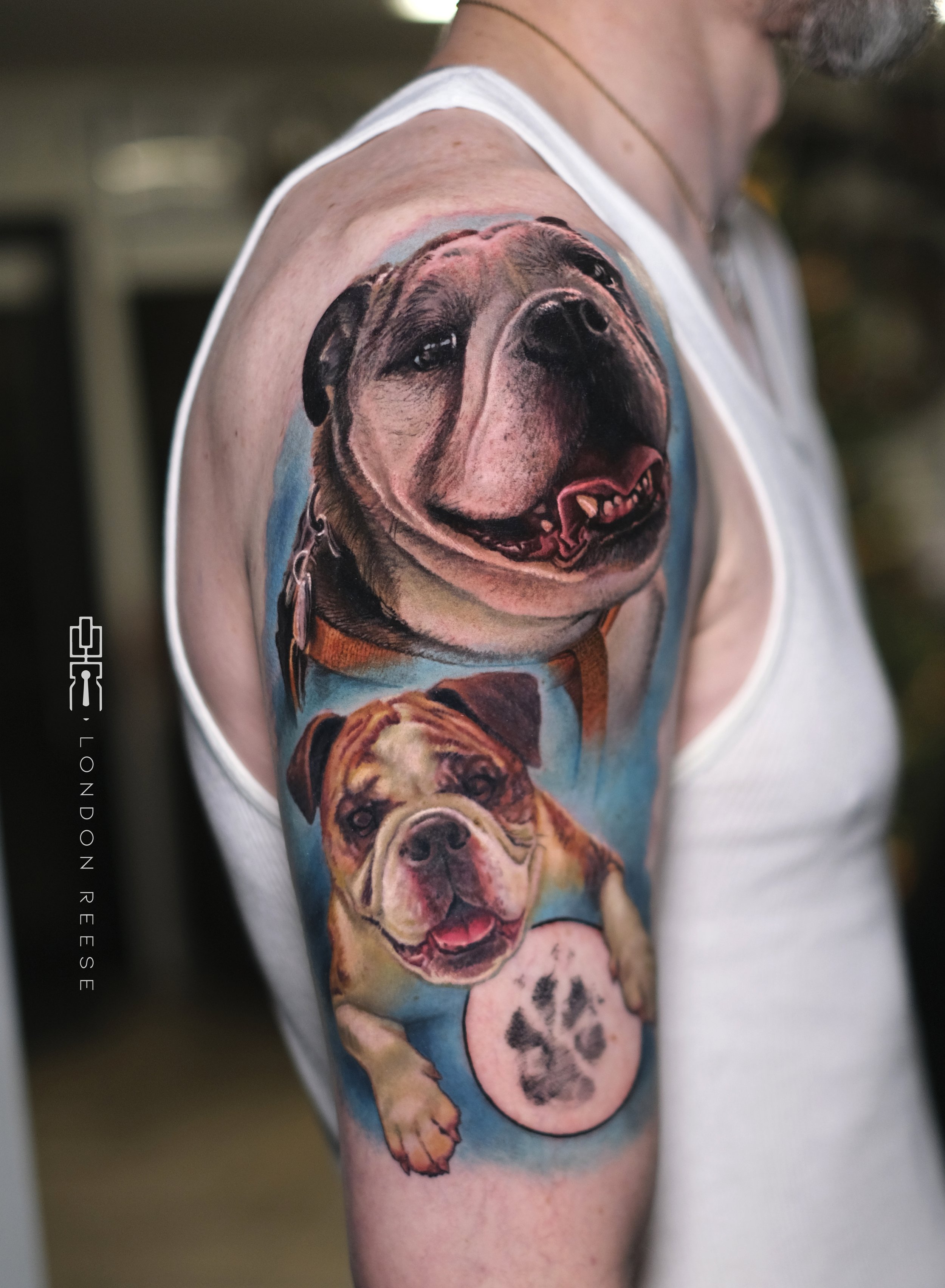 bruiser dog portrait memorial tattoo.jpg