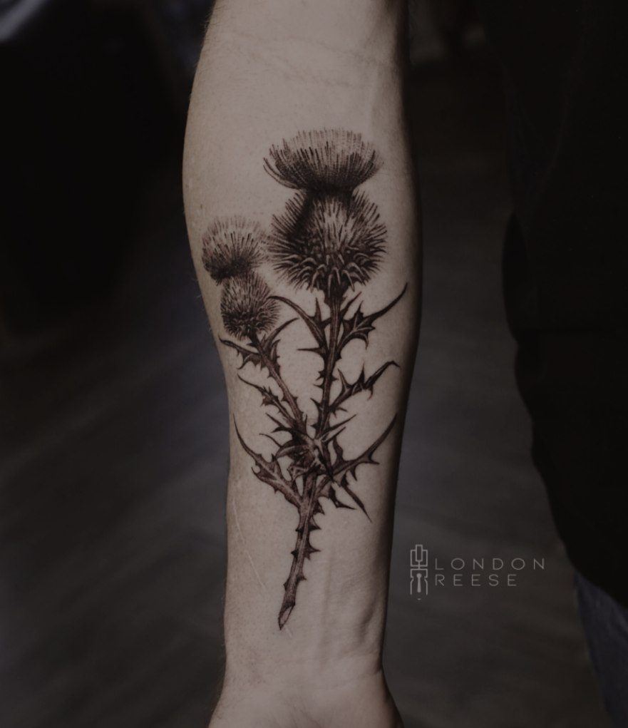 Screenshot 2026-02-07 at 4.12.03 AM.png