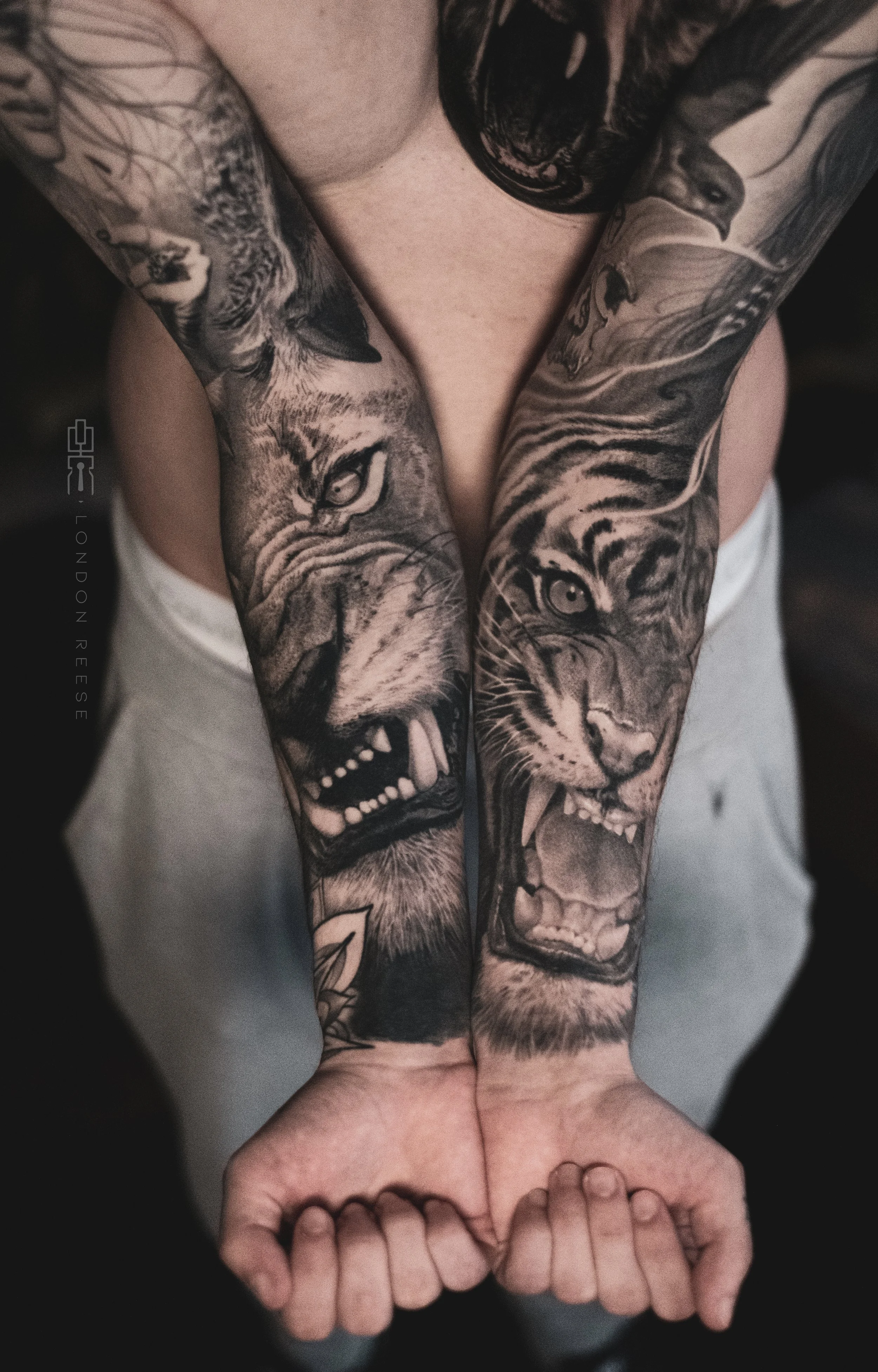 lion tiger arms taylor mattix healed copy.jpg
