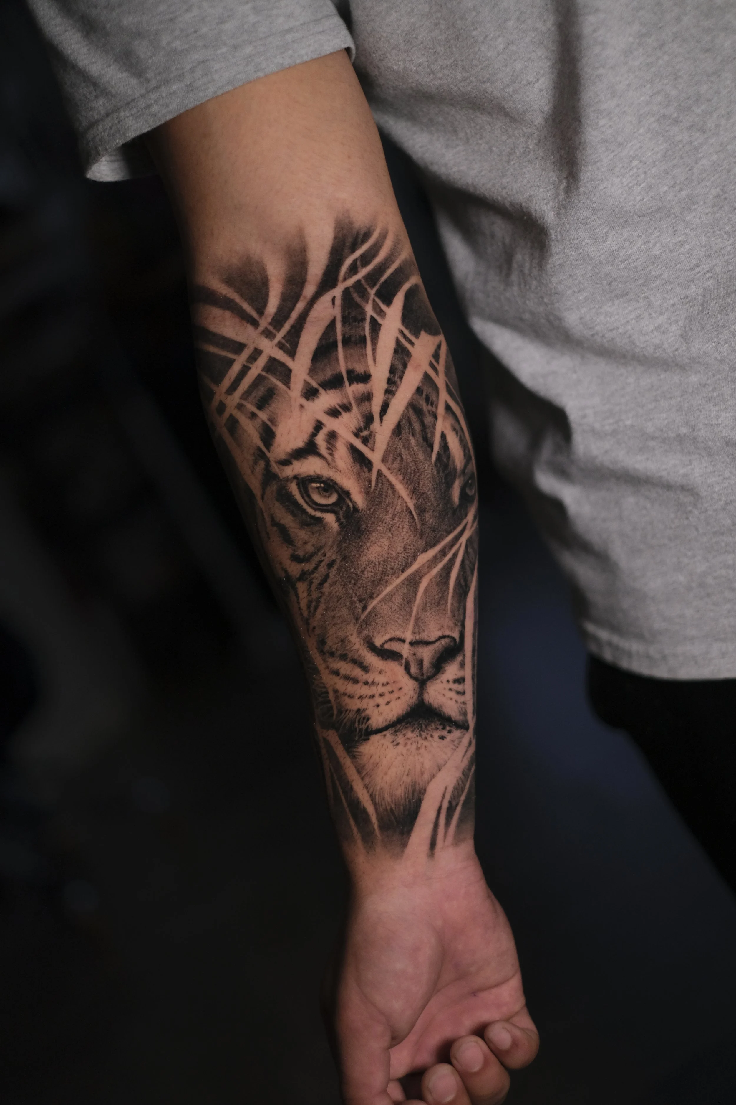 healed tiger foliage.JPG