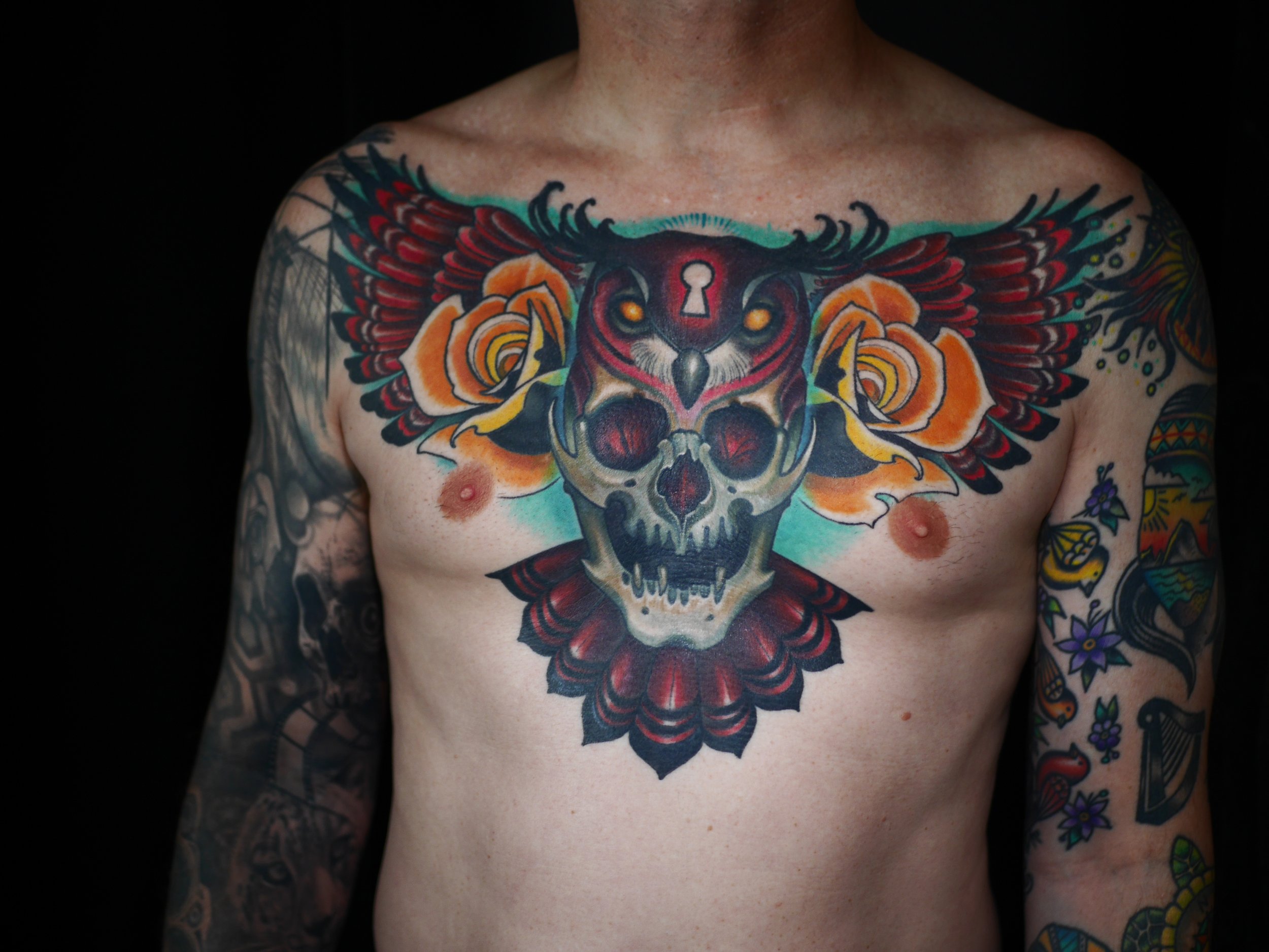healed owl skull chest.JPG