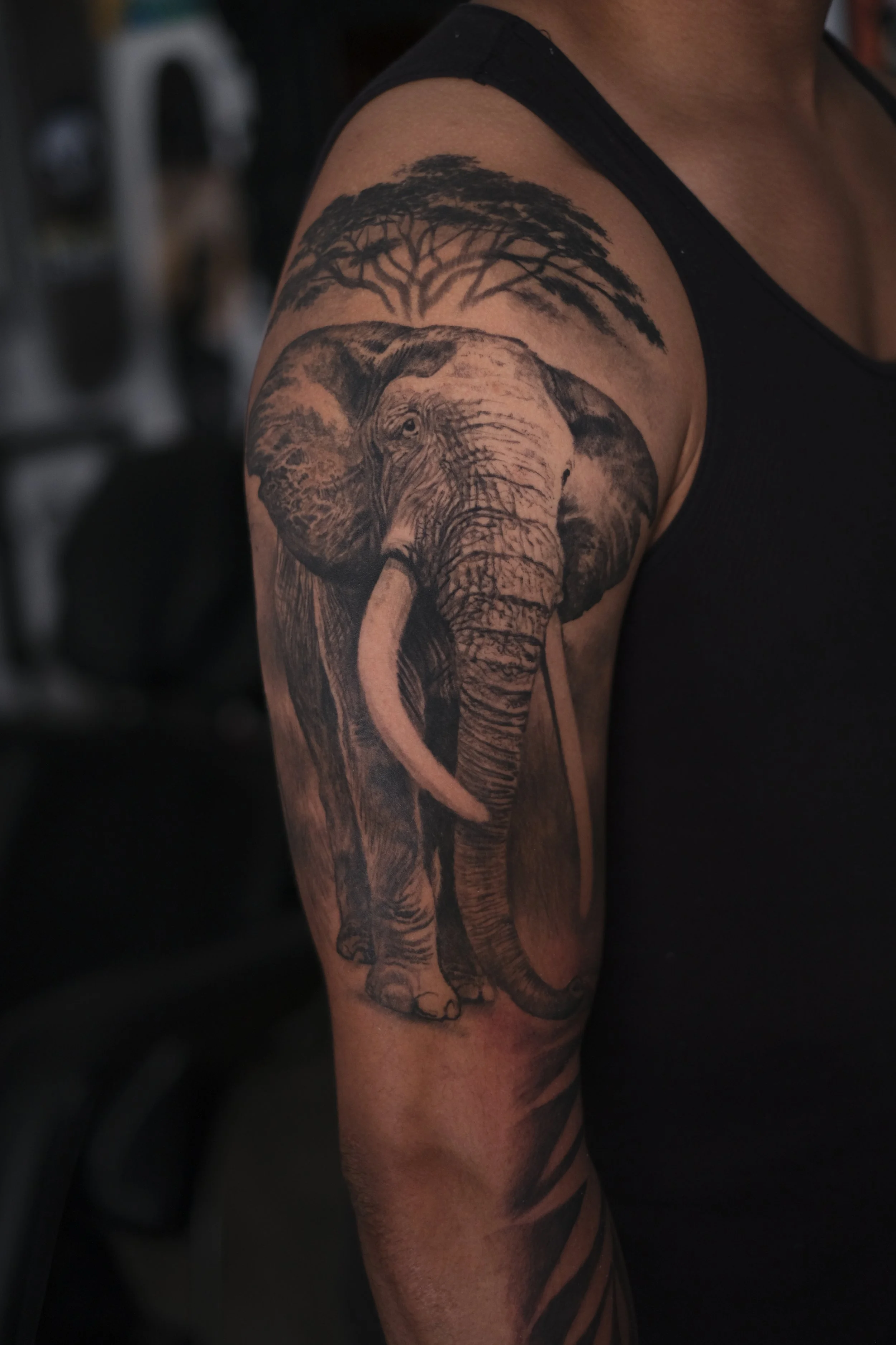 healed elephant african.JPG