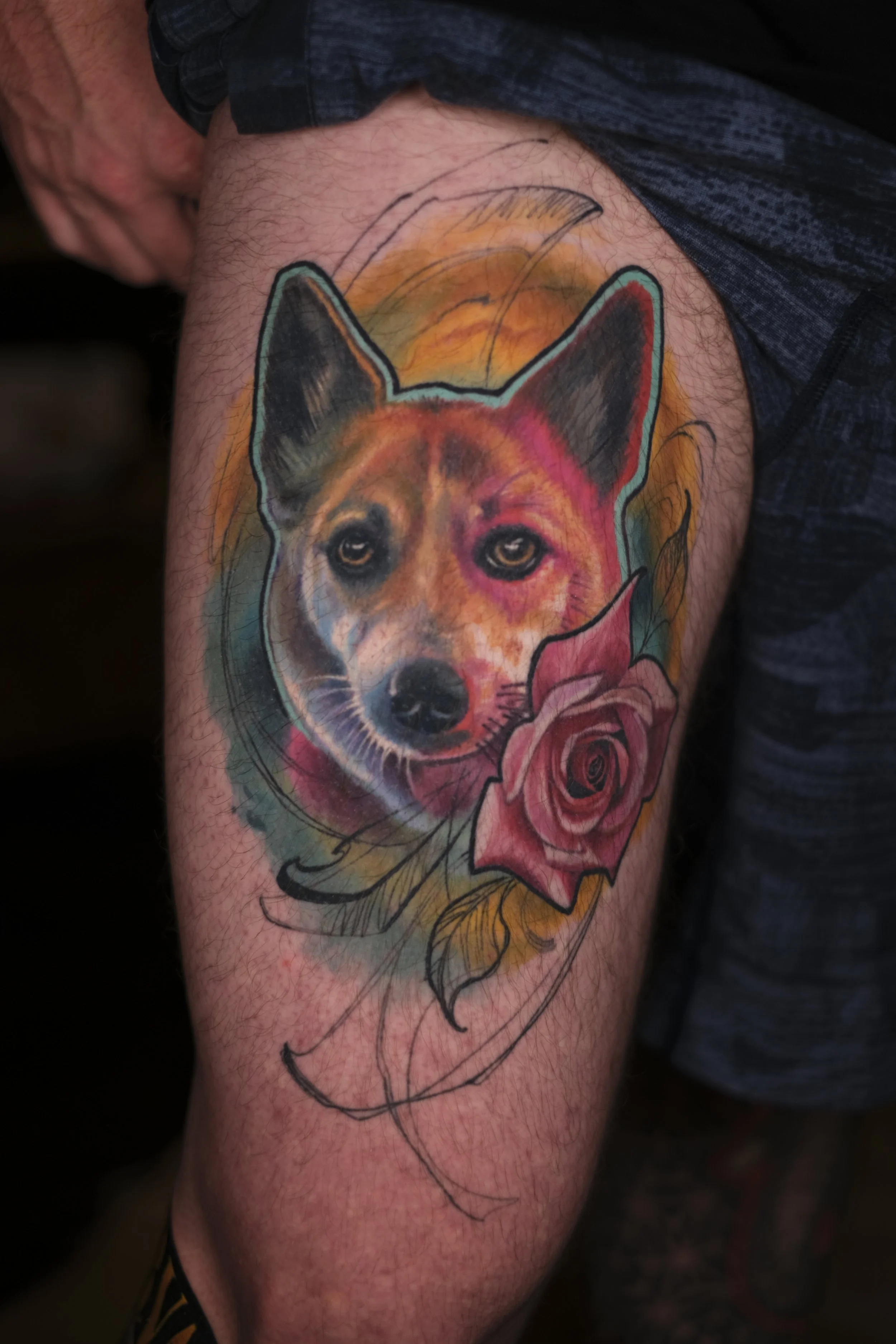 healed deathless color dog.JPG