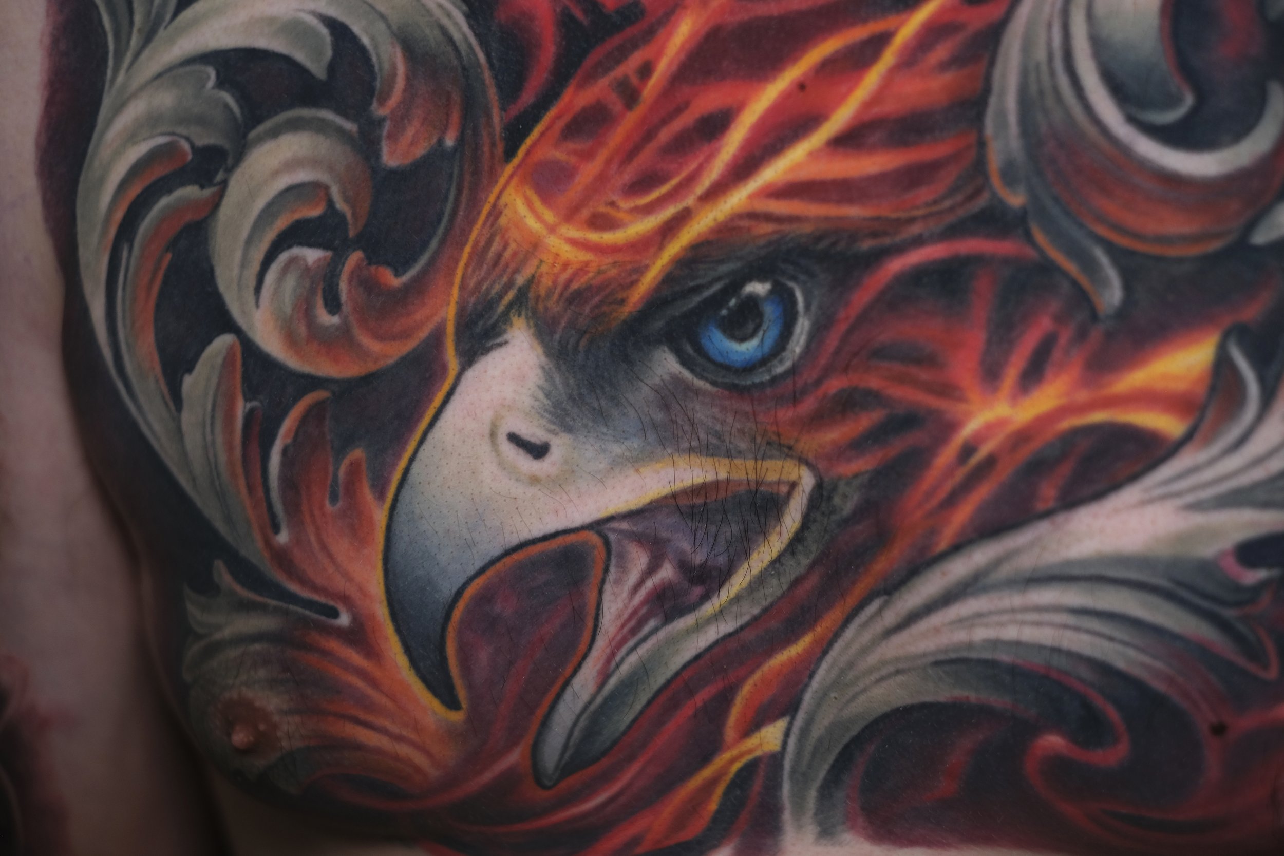 healed phoenix chest 2.jpg
