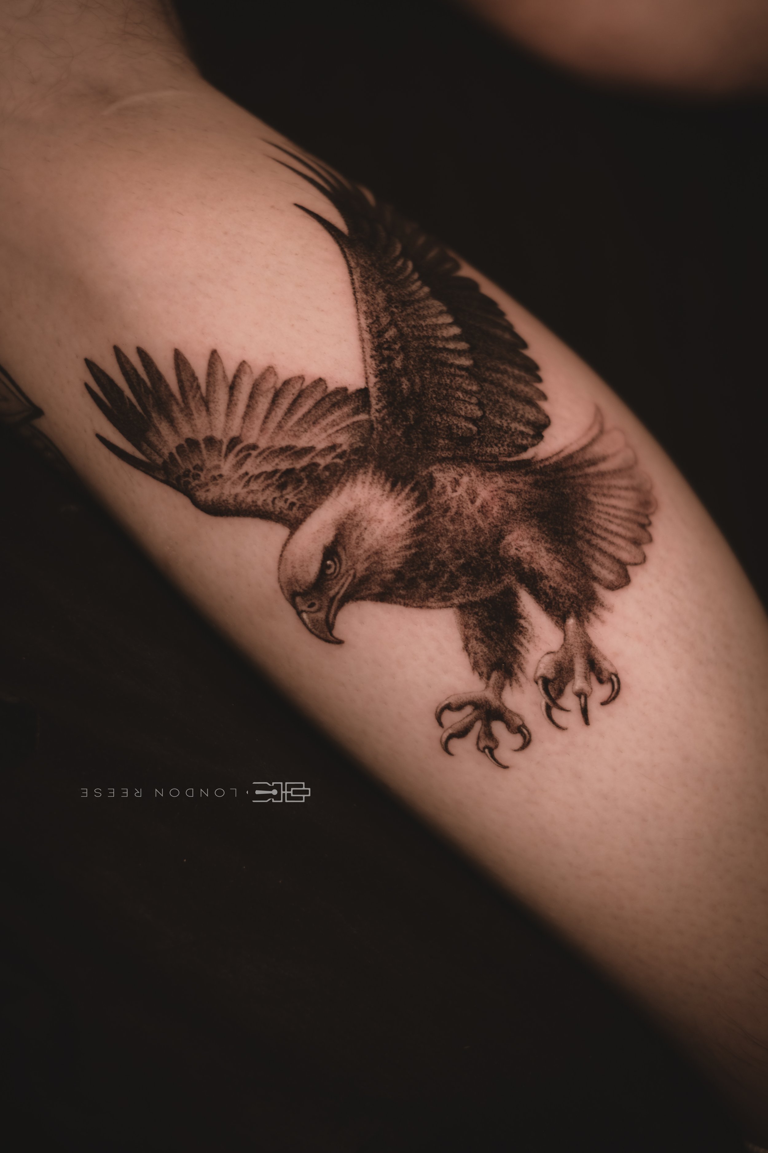bald eagle micro tattoo black n grey.jpg