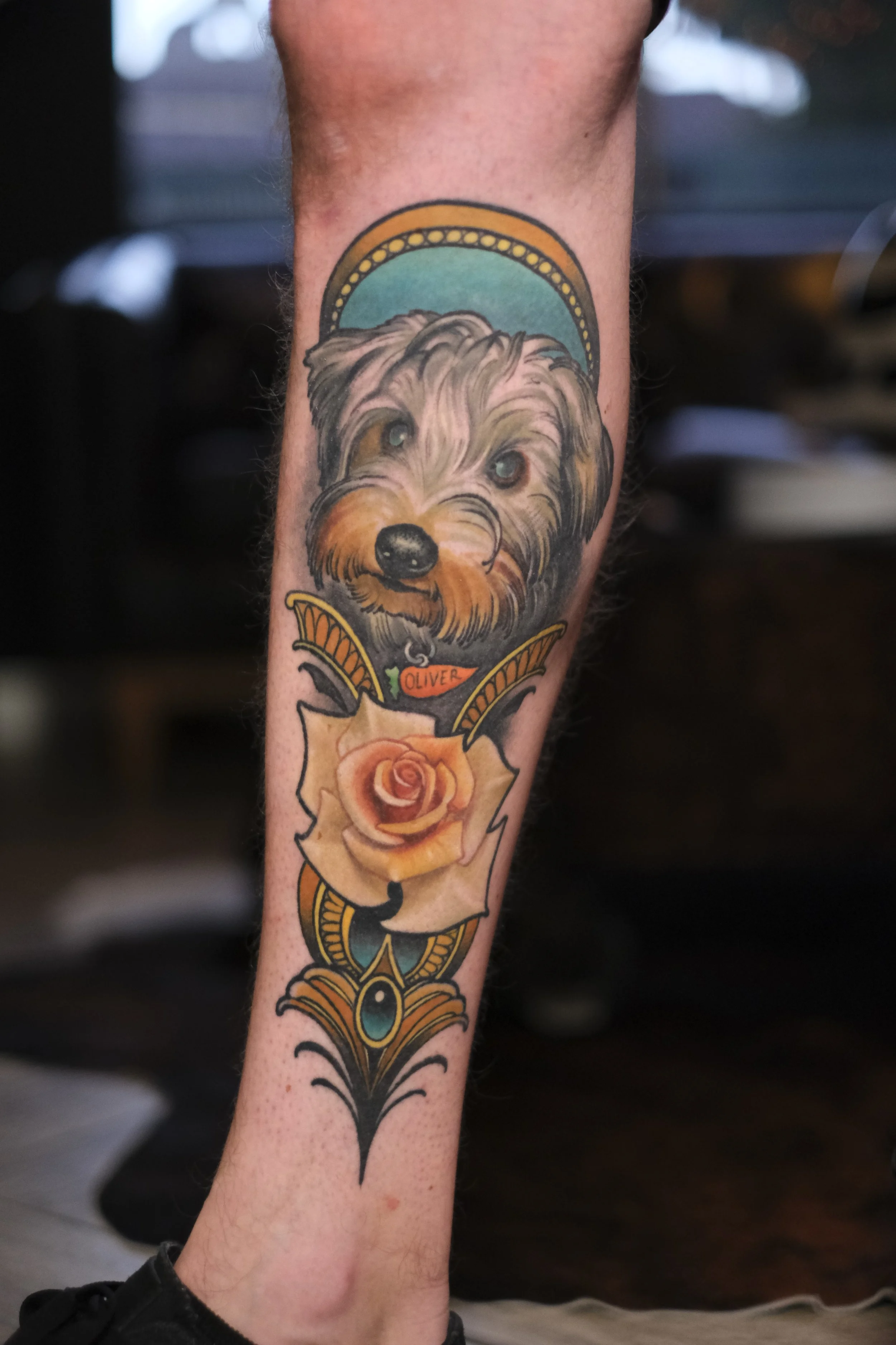 oliver mixed style healed neotrad dog.JPG