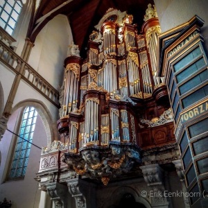 Organ..jpg