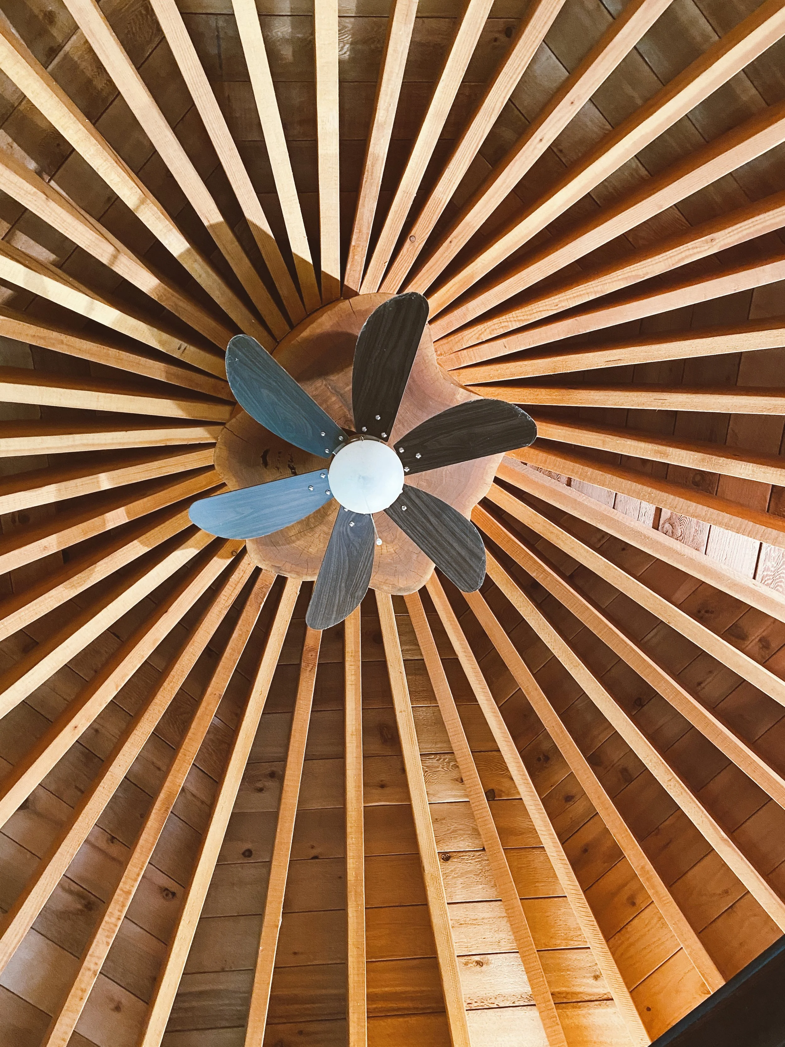 gazebo ceiling.JPG