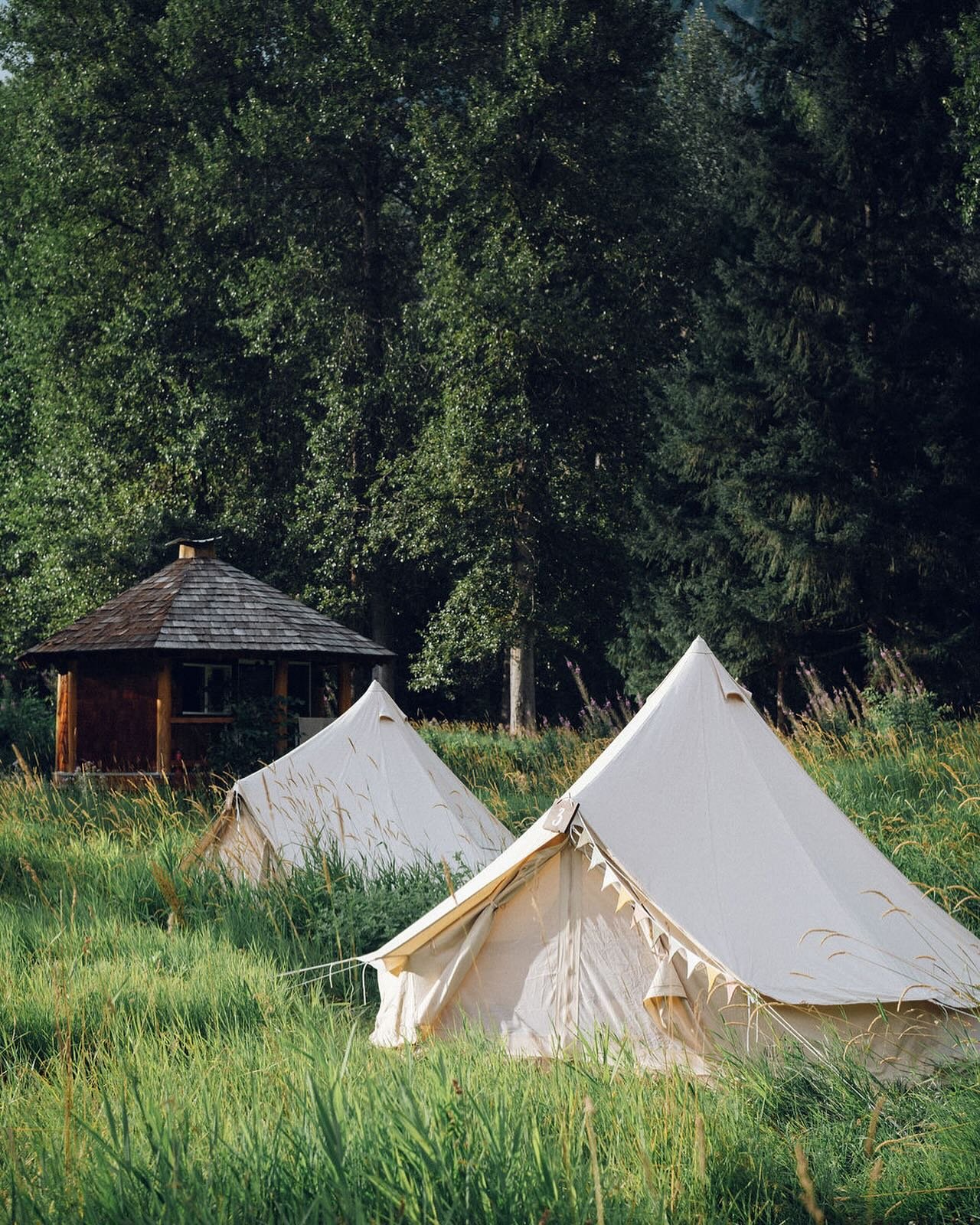 A match made in Haven @wildhavensglamping X @greenwaterresort
Bell tents are a great option if you would like to add more accommodations to your stay while keeping it looking curated for your special day.