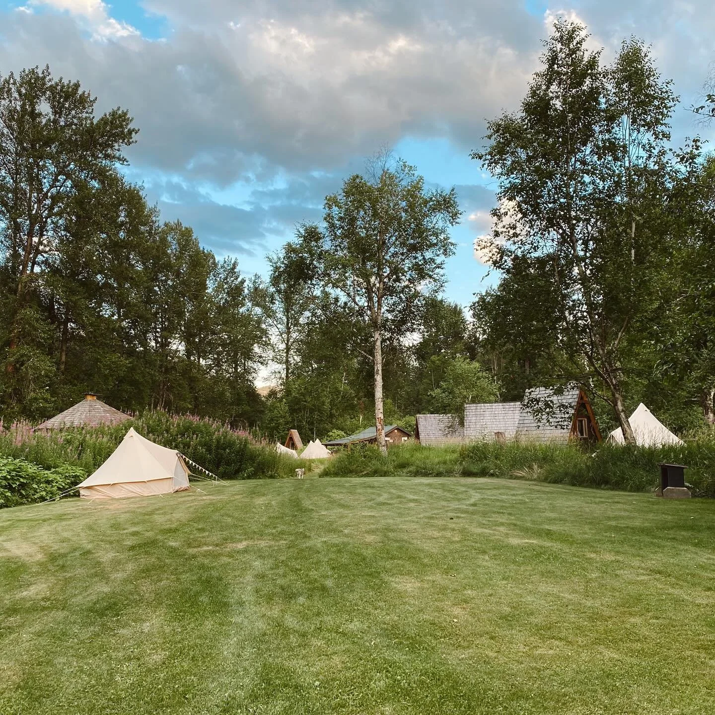 If you are wondering what it looks like to add 12 more of your closest friends to stay on the property for your wedding or event, @wildhavensglamping has your back! Fireweed season has us in glamping heaven!
