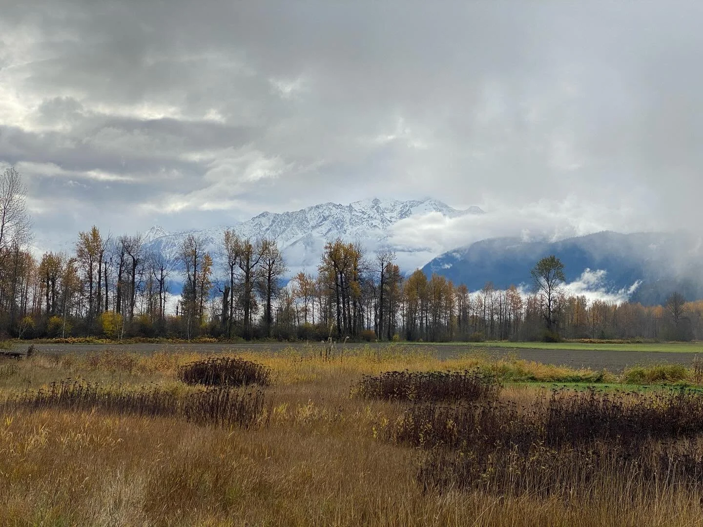 Happy Halloween Pemberton!