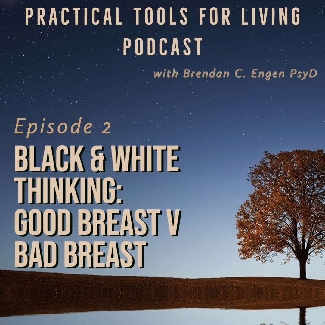 Black and White Thinking: Good Breast v Bad Breast