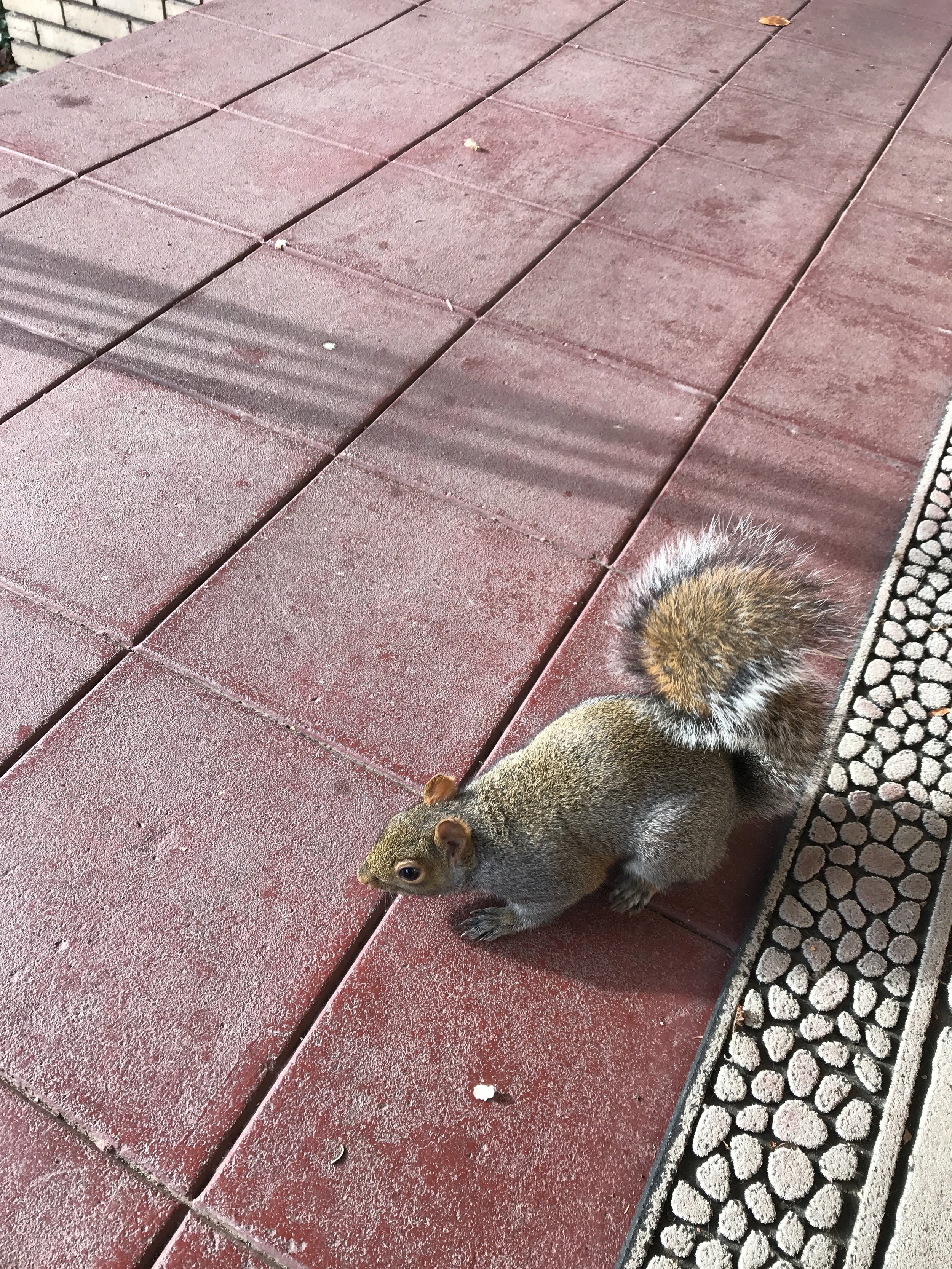 #autumnalaf / part two playlist 