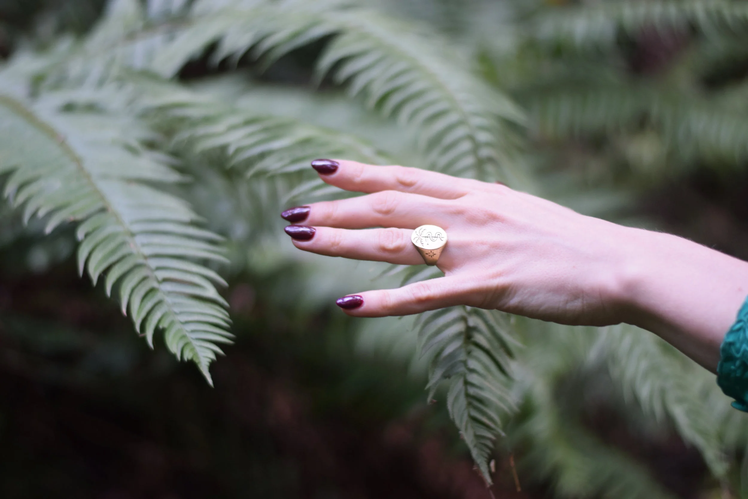 Shoot in the woods 