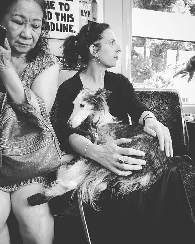 Highland Park, CA
July 17, 2019
9:04 AM