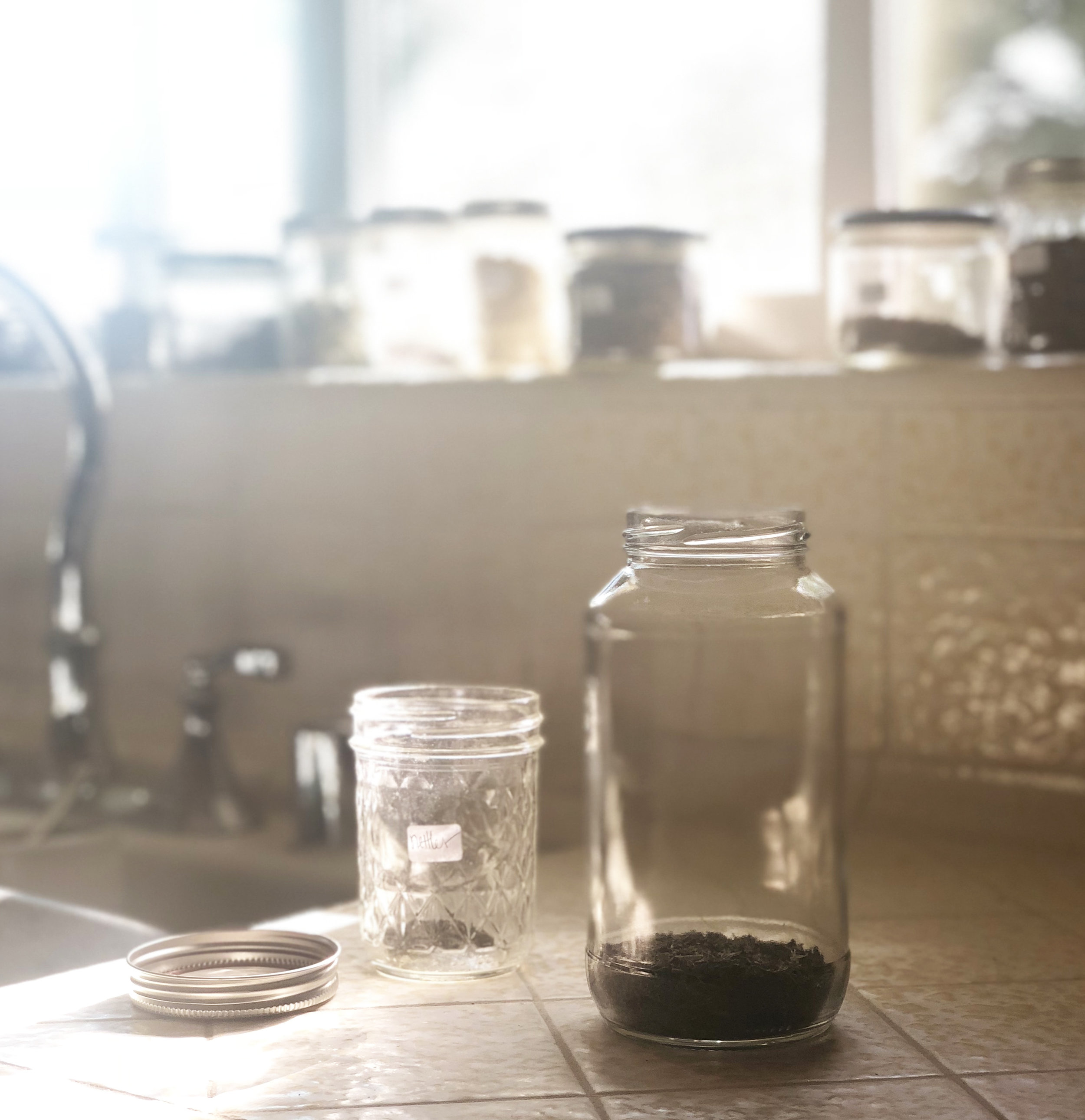 how-to-make-an-herbal-tea-infusion.jpg