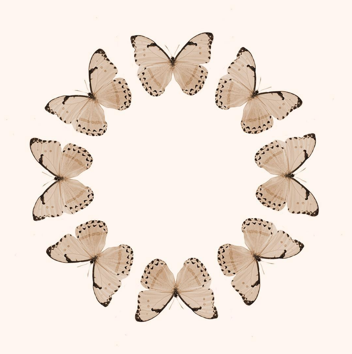 Collage art via @jesswells