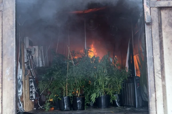 Cannabis - Fire Protection & Prevention