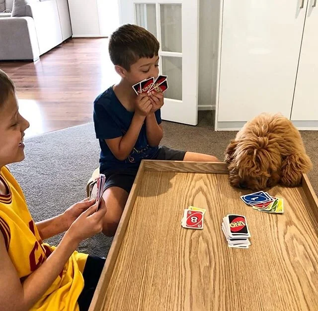 Not a bad hand Walter ๐๐ผ๐พ ๐ถ  #repost Thanks for sharing Sharmani, What a genius!! โจโค๏ธ #puppy #uno #games #fun #happy #family #cavoodles #cavapoo #toypoodle #cavalierkingcharlesspaniel #dogsofinstagram #doggystyle๐ถ #dogsinquarantine #melbournebre